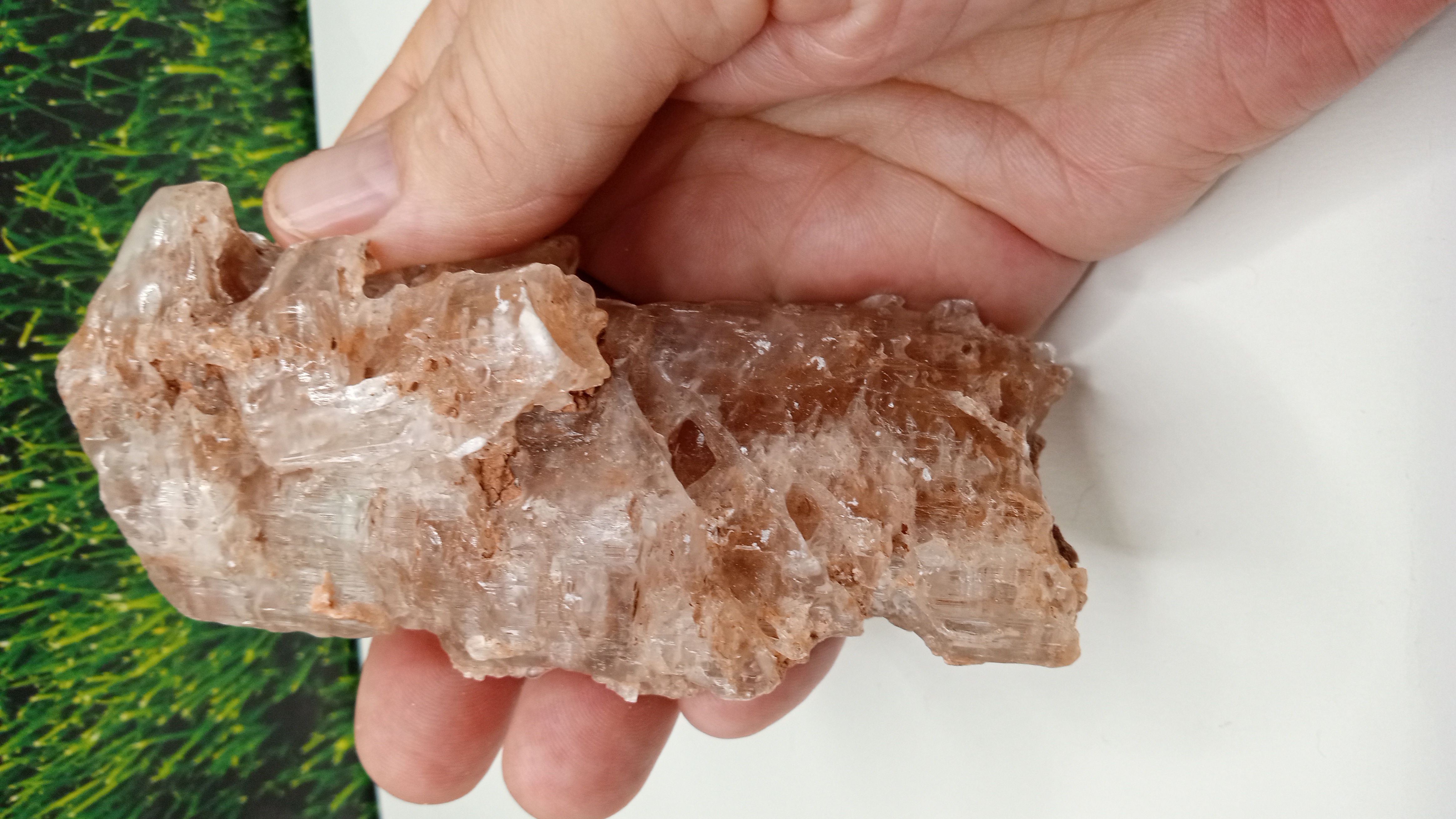 Selenite Mineral Specimen - UFO Roswell, New Mexico Area ~