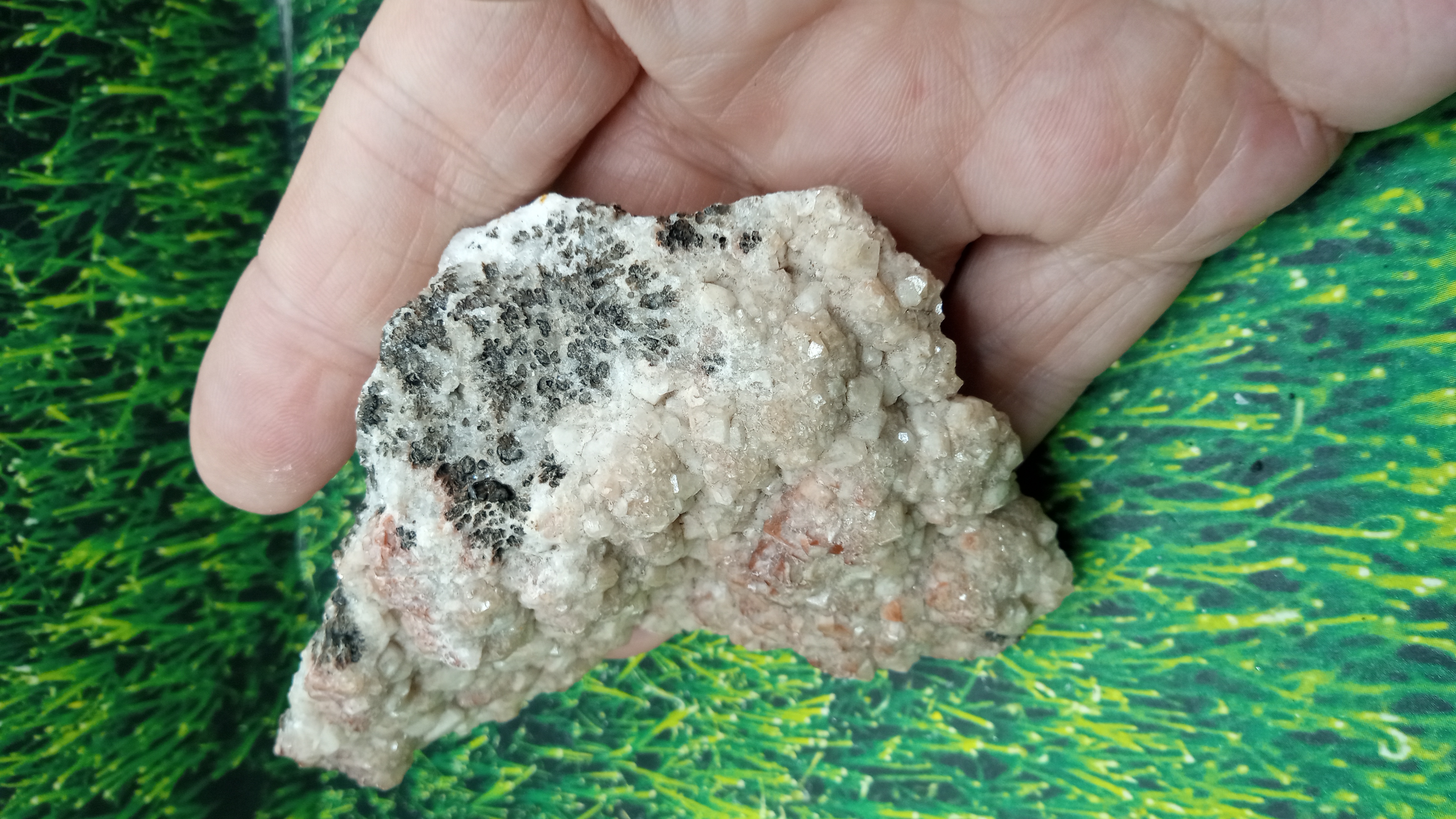Calcite and Halite Mineral Specimen - New Mexico ~