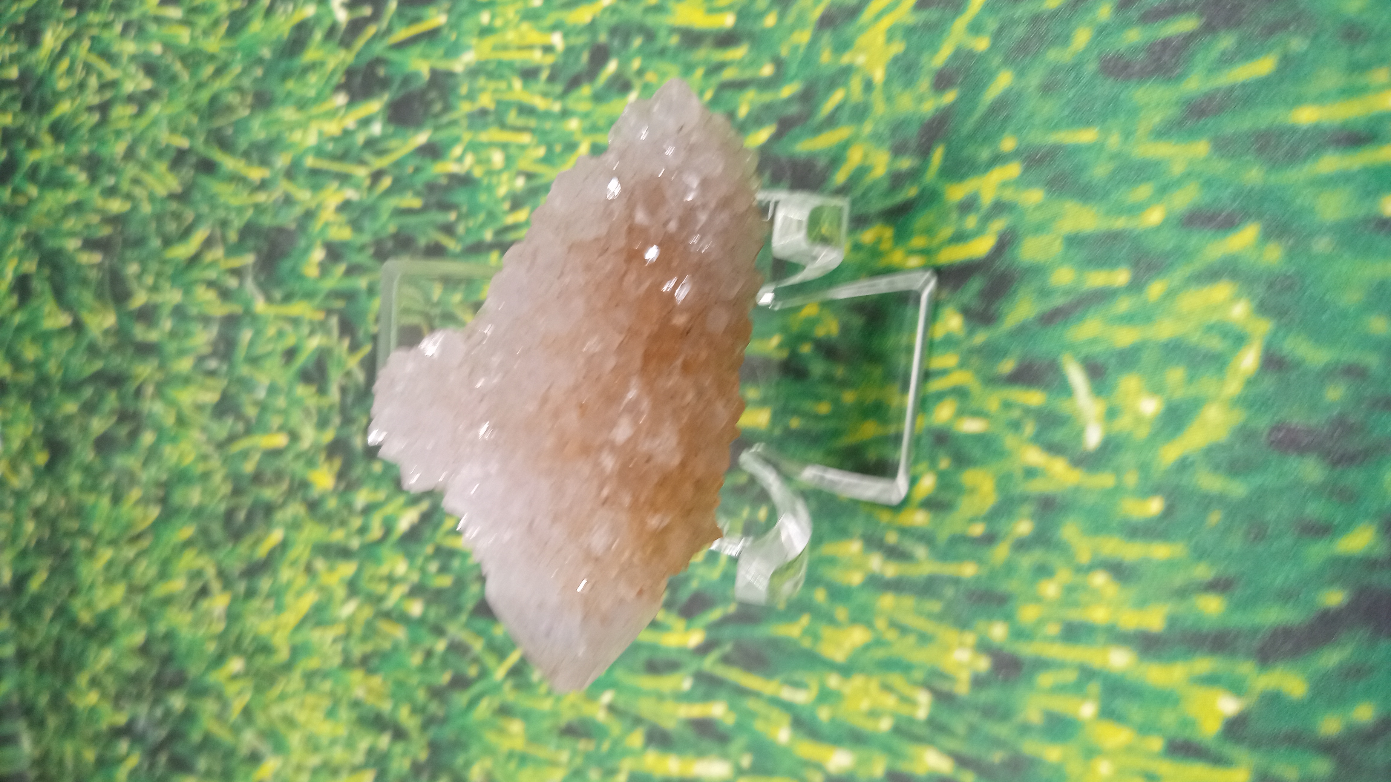 Cactus quartz ~ South Africa ~ Acrylic Display Included ~  South Africa ~