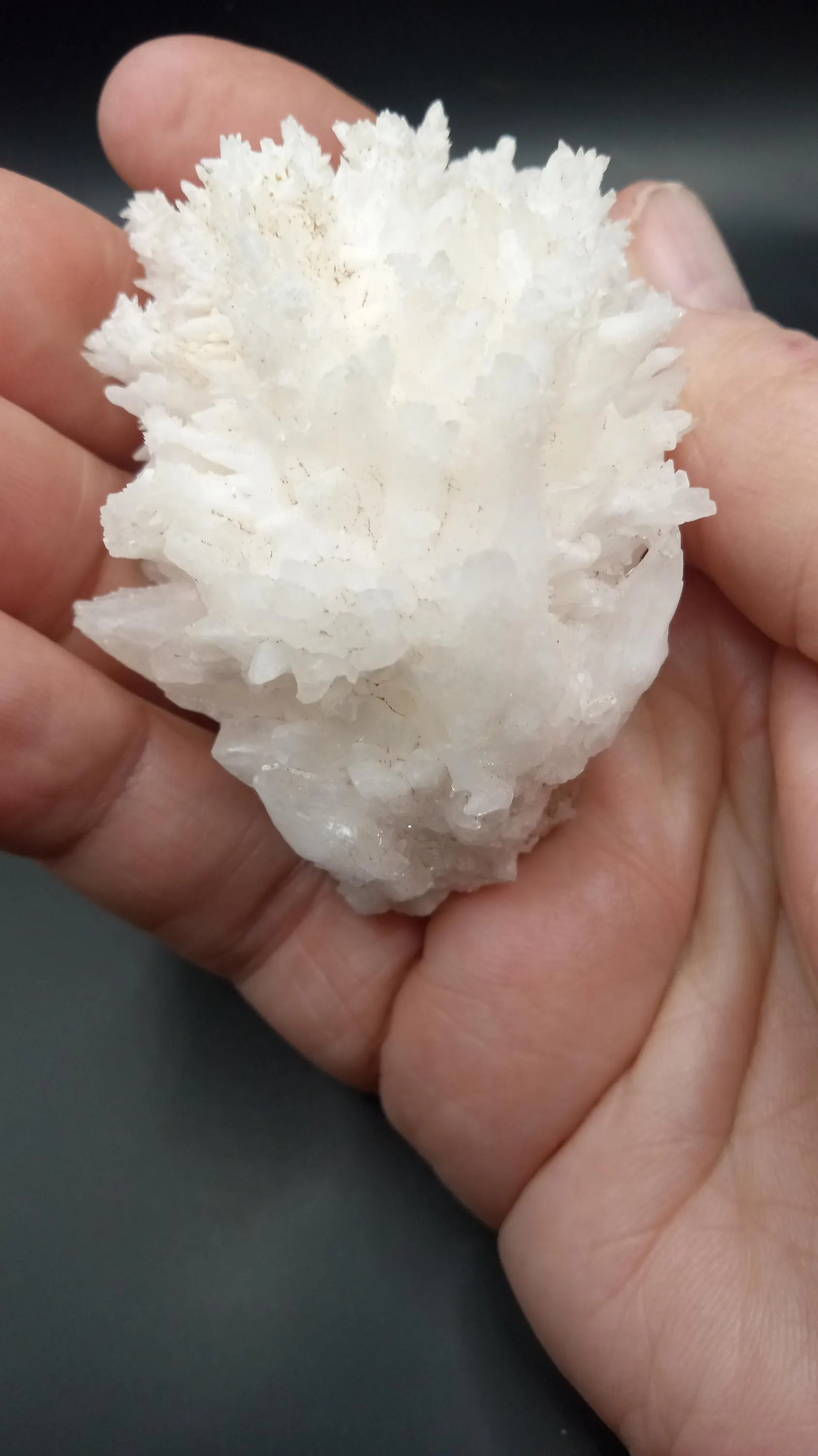Aragonite /w Calcite Crystals Mineral Specimen -