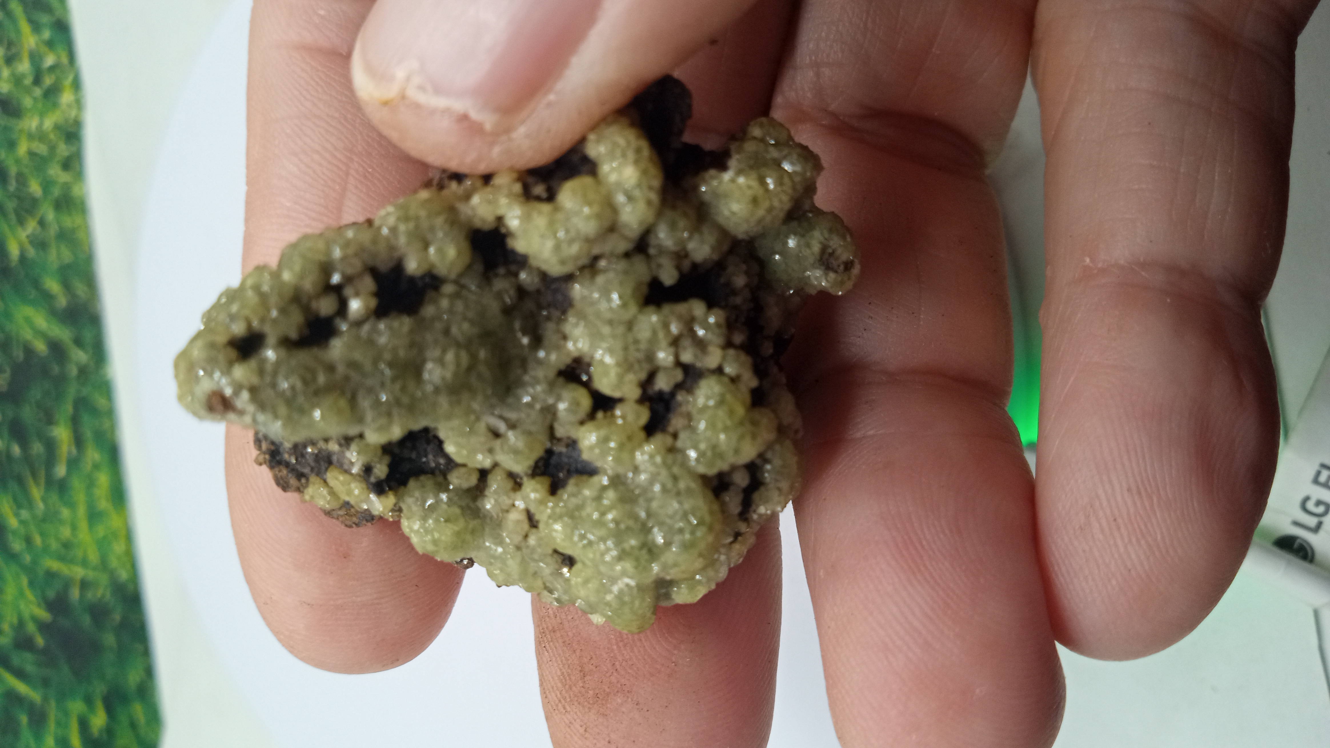 Adamite Specimen Ojuela Mine in Mapimí, Durango, Mexico