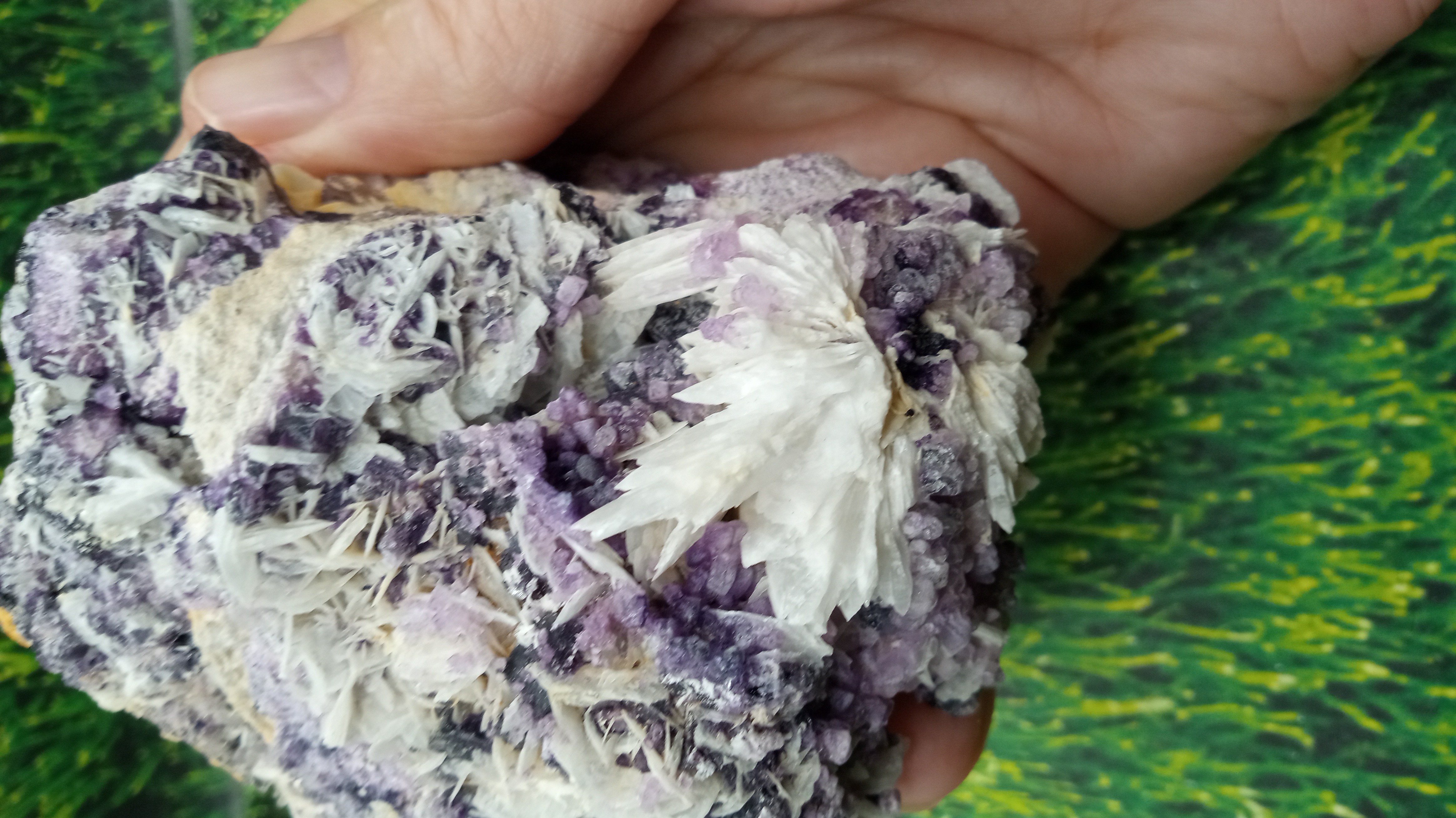 Barite w/ Fluorite & Blades ~ Mineral Specimen - Socorro County New Mexico