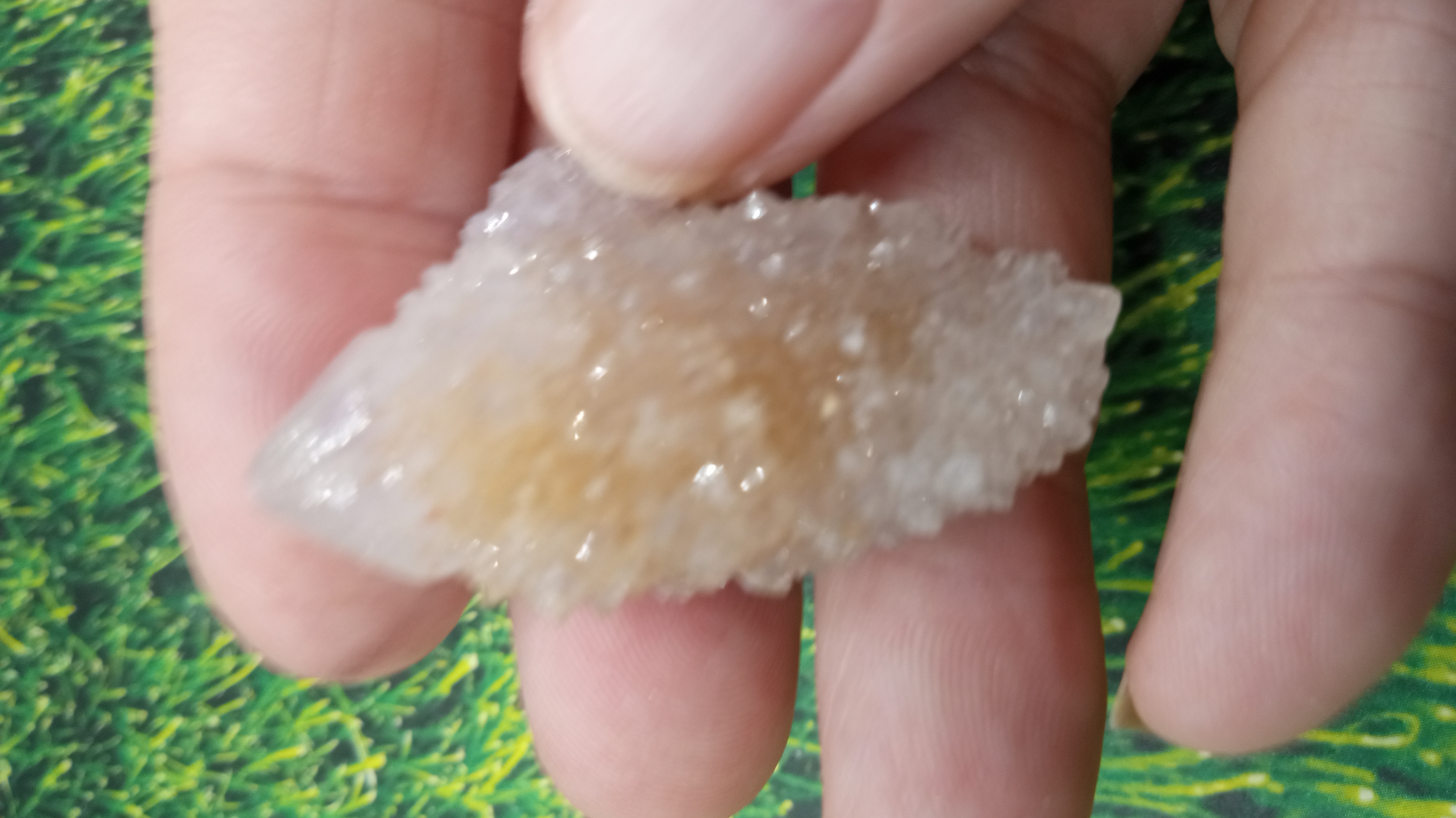Cactus quartz ~ South Africa ~ Acrylic Display Included ~  South Africa ~