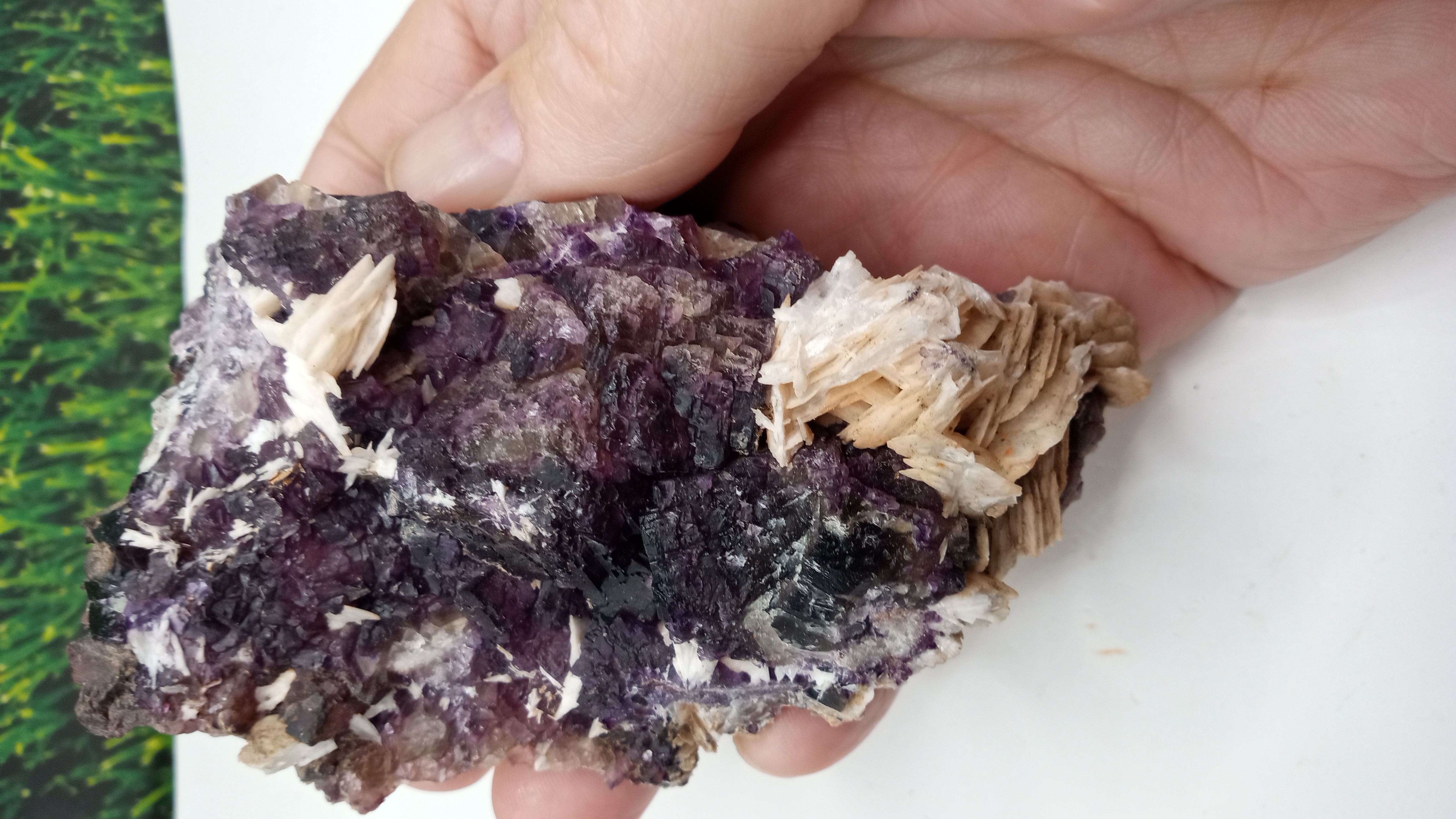 STUNNING BARITE WITH PURPLE FLUORITE MINERAL SPECIMEN ~ New Mexico ~