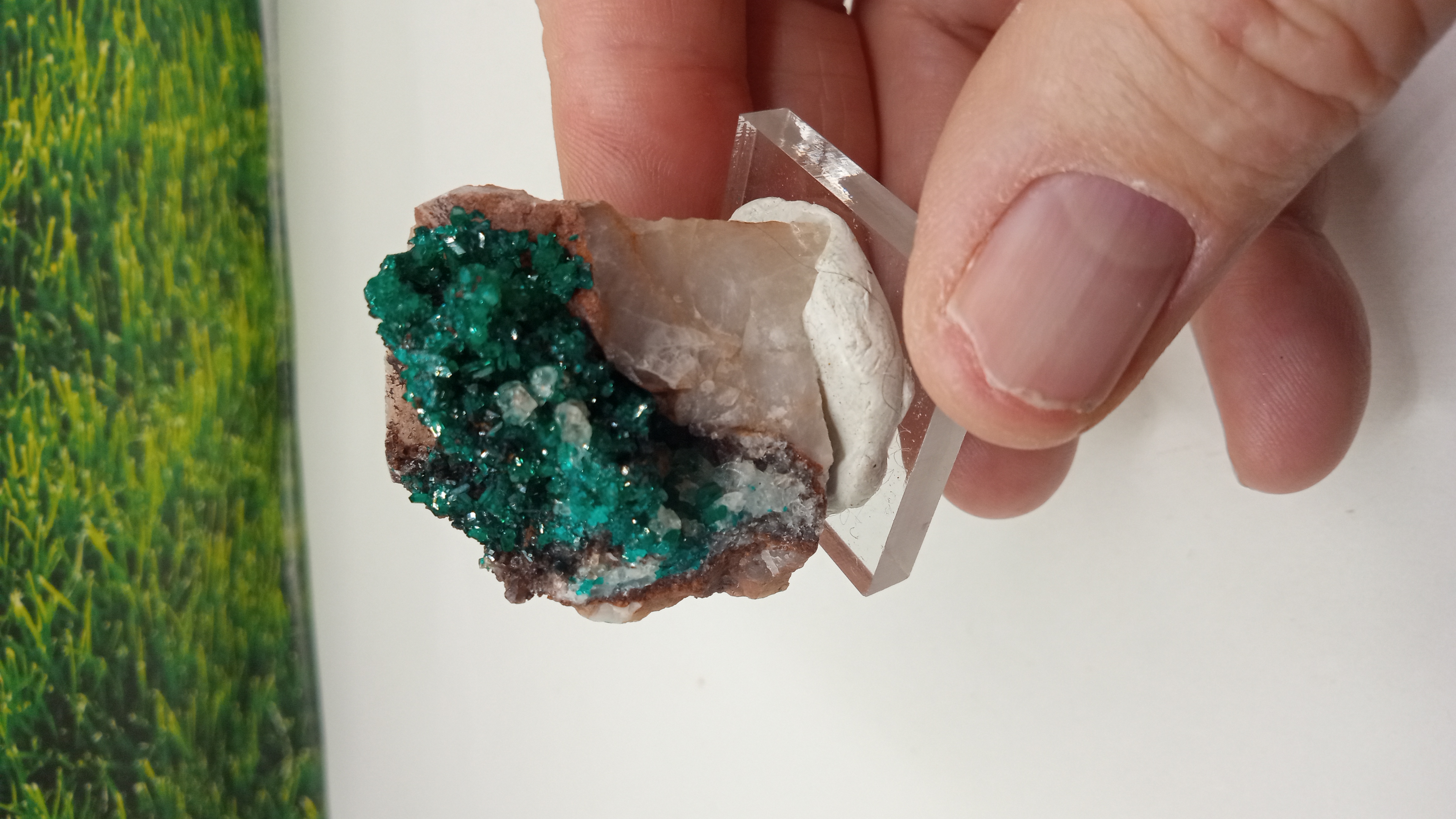 Dioptase - Namibia The Tsumeb Mine on Acrylic Stand