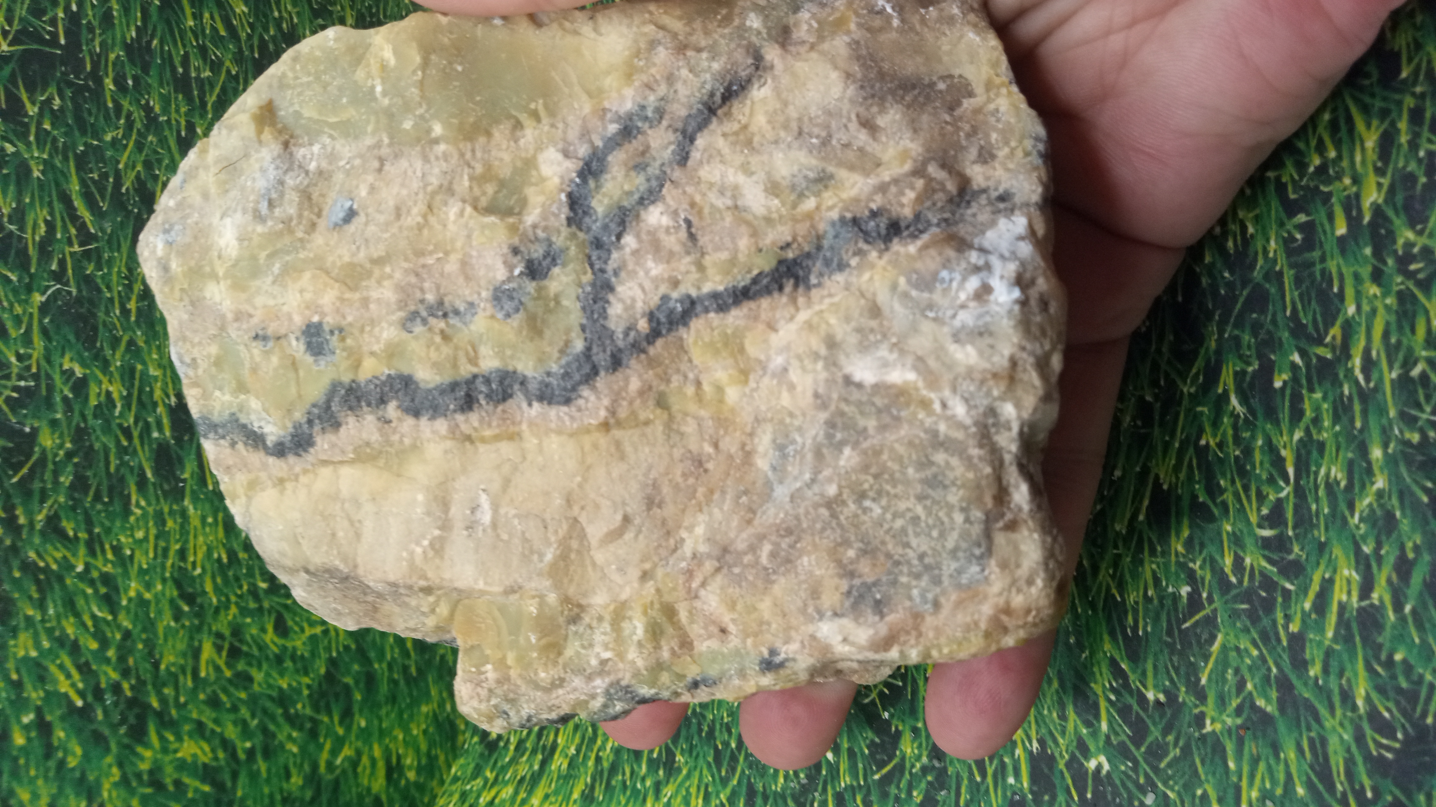 Serpentine with Magnetite ~ Lordsburg NM   1 LB 10 oz Large ~