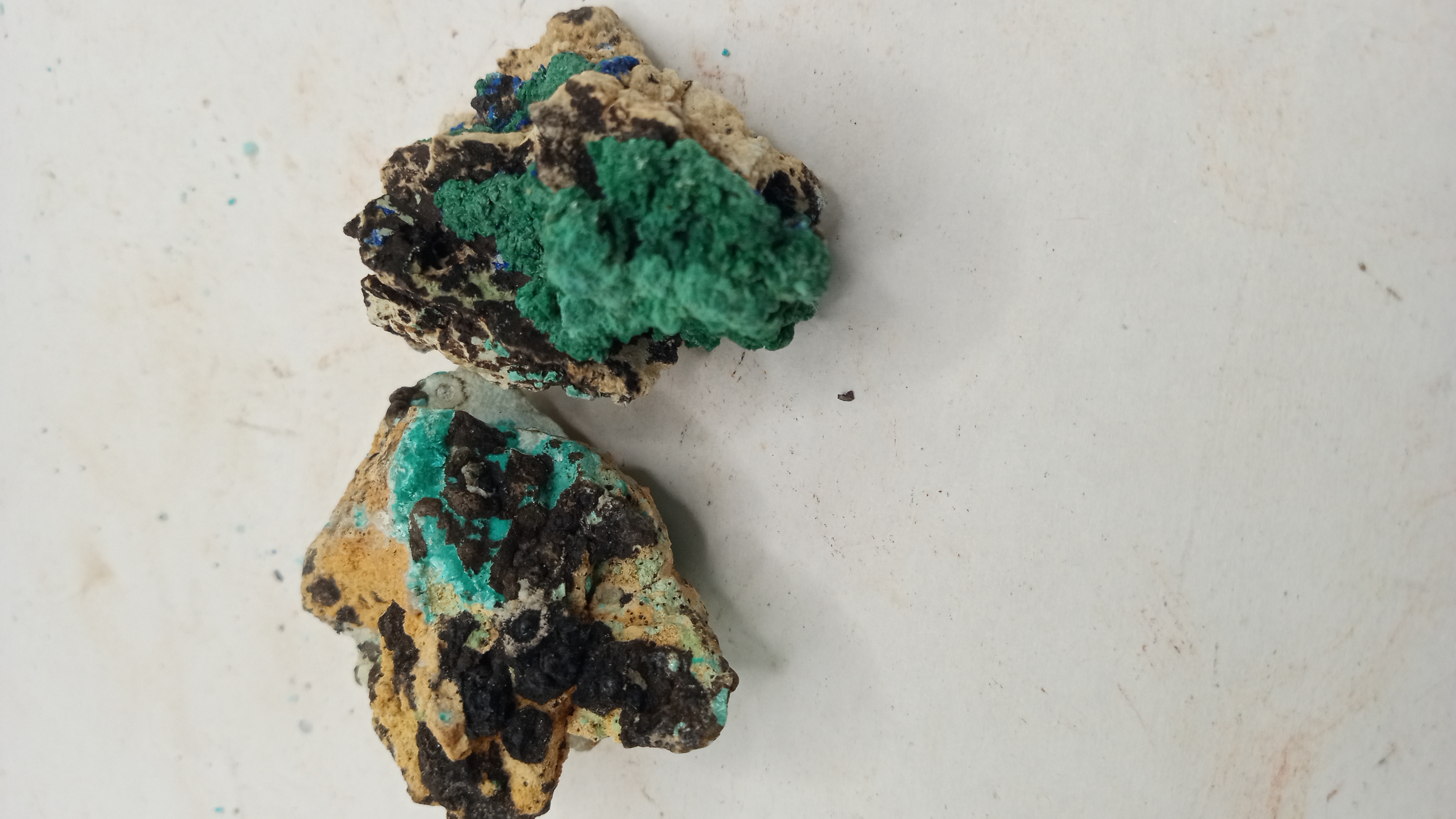 Aurichalcite / Rosasite Beauties Mineral Specimens ( 2 )
