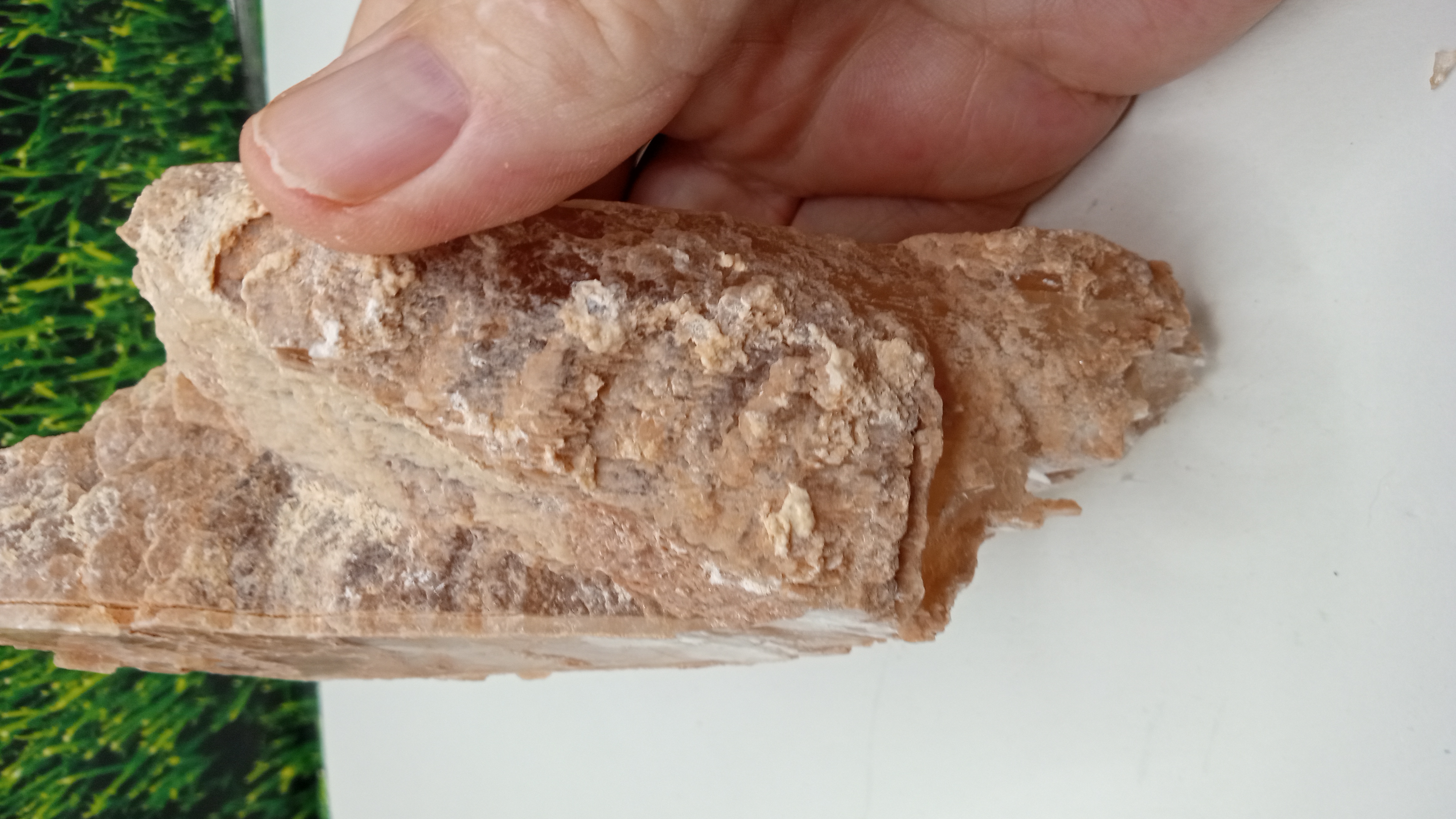 Muscovite / Selenite Mineral Specimen ~ New Mexico