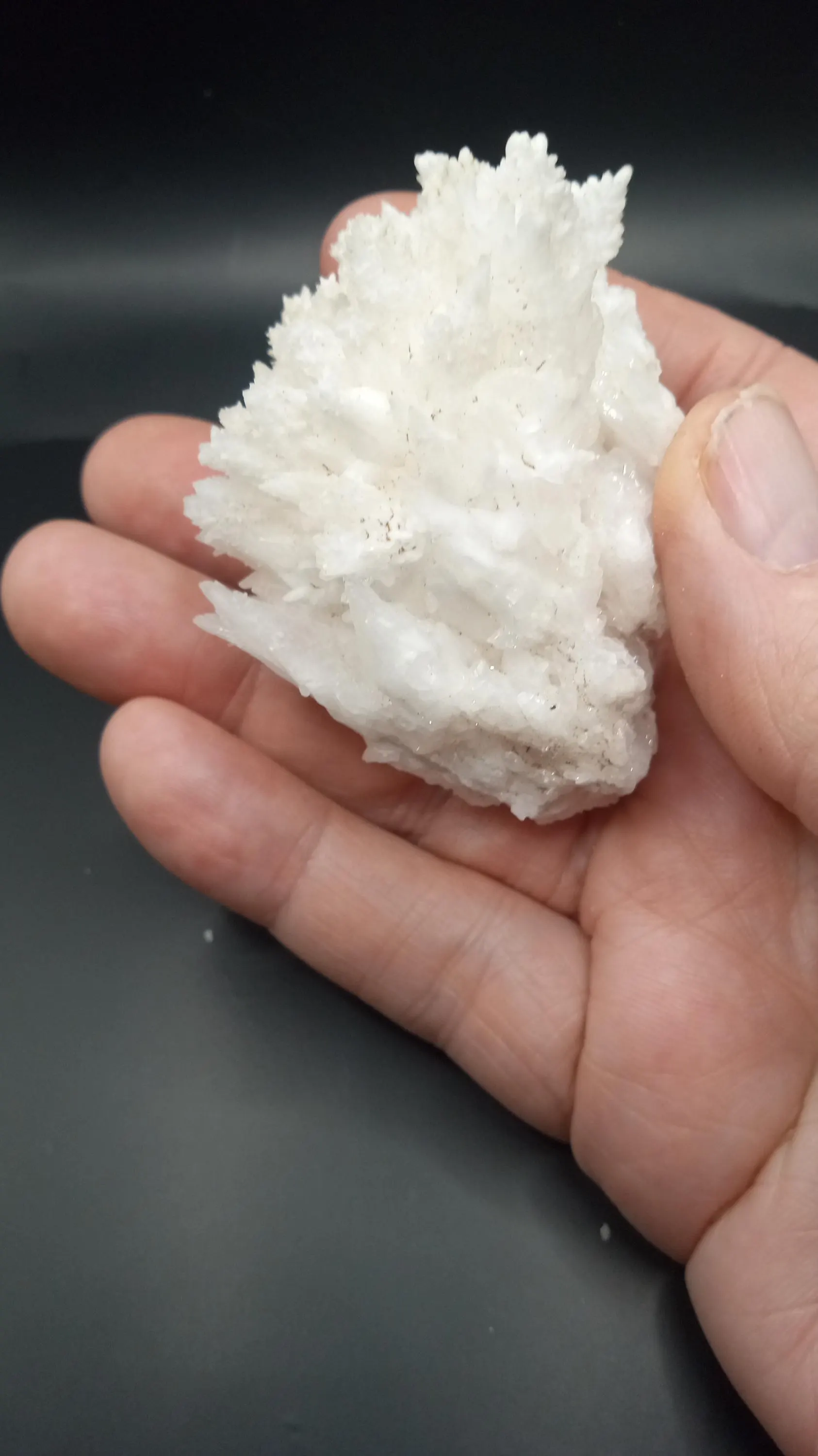 Aragonite /w Calcite Crystals Mineral Specimen -