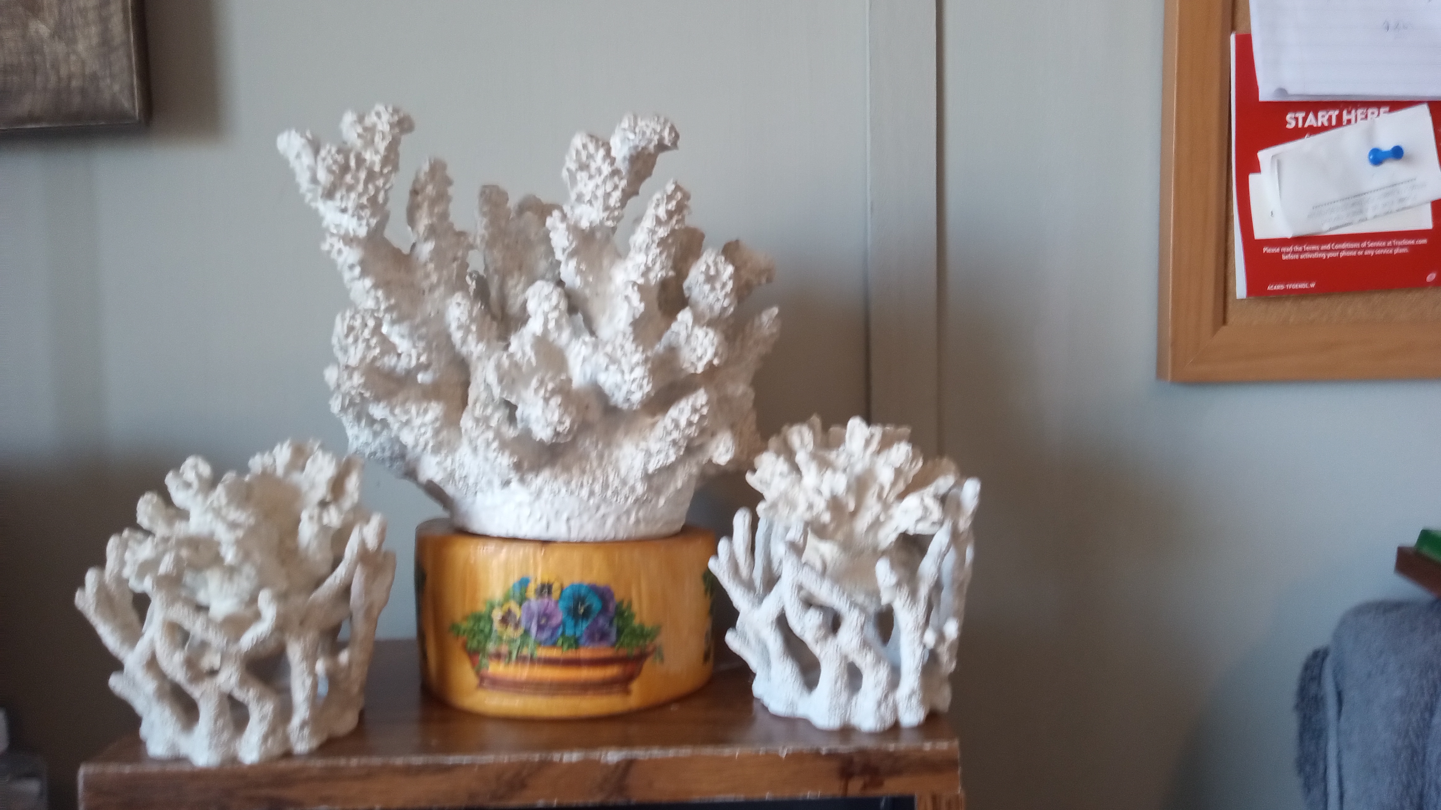 Beautiful 3 Piece White Coral Set - Wood Stand -