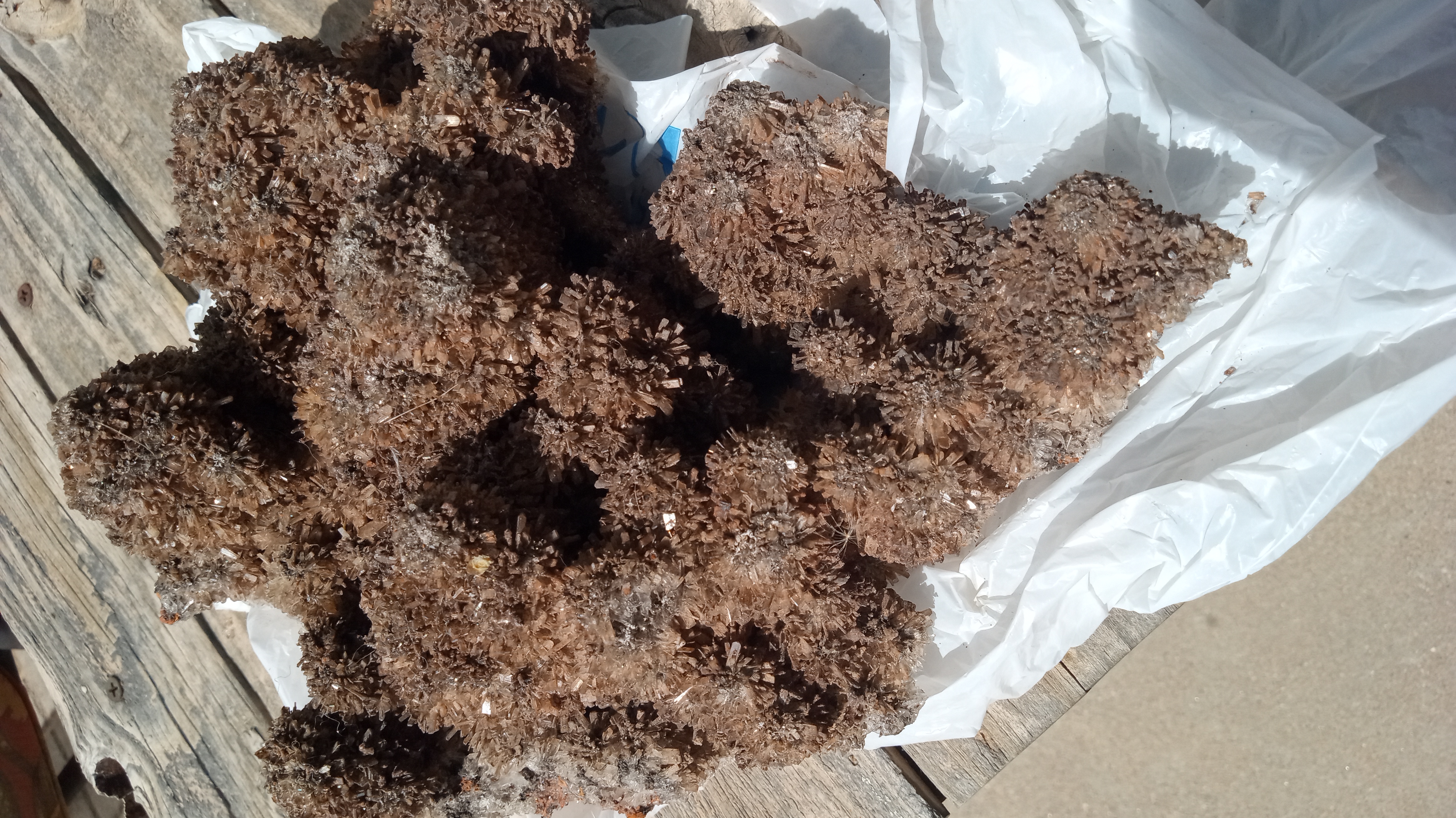 Creedite Stunning Giant Orange & Rust Colors  ~ Rare ~ Mexico ~