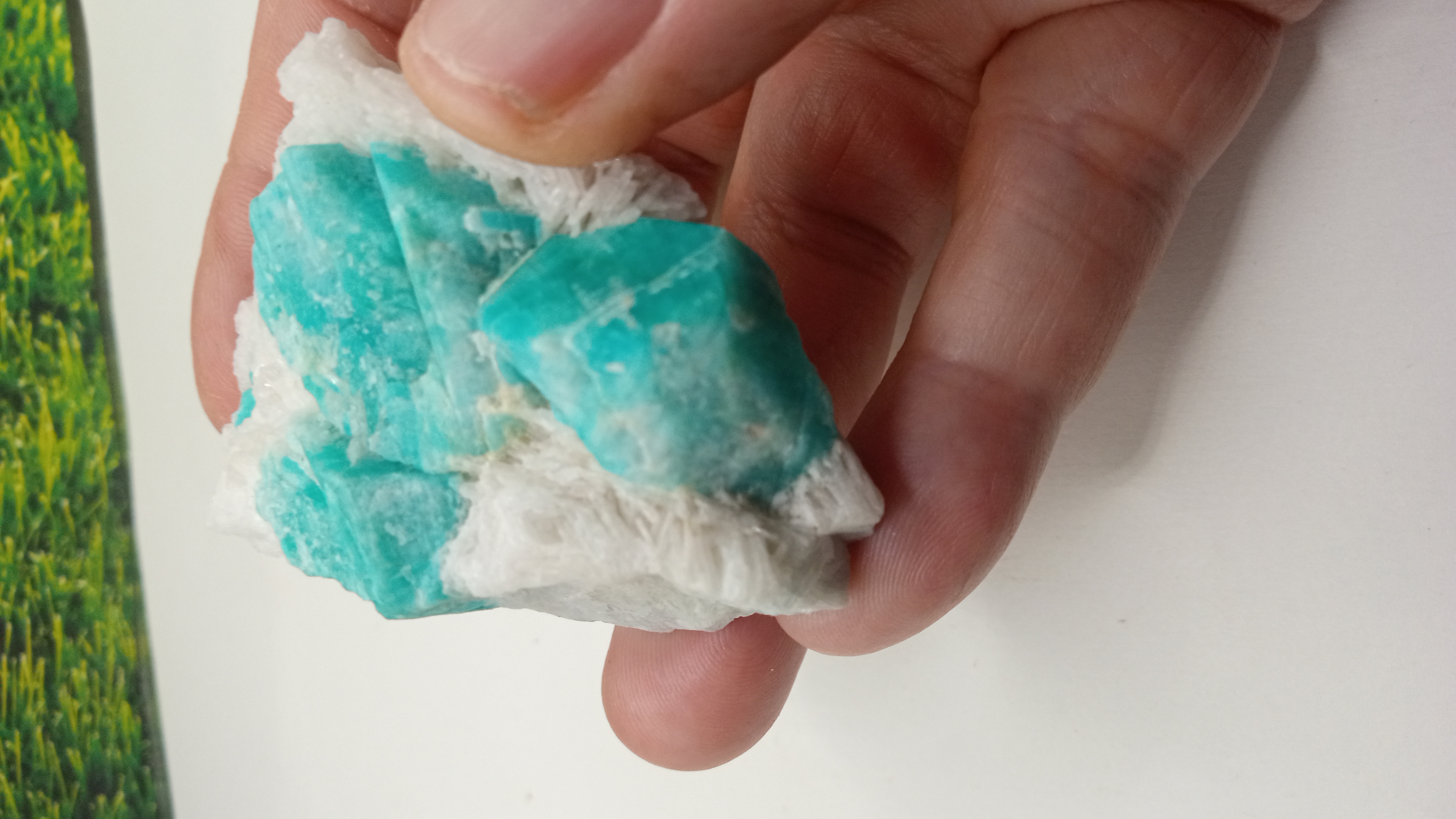 Amazonite Mineral Specimen -  Colorado's Pikes Peak region