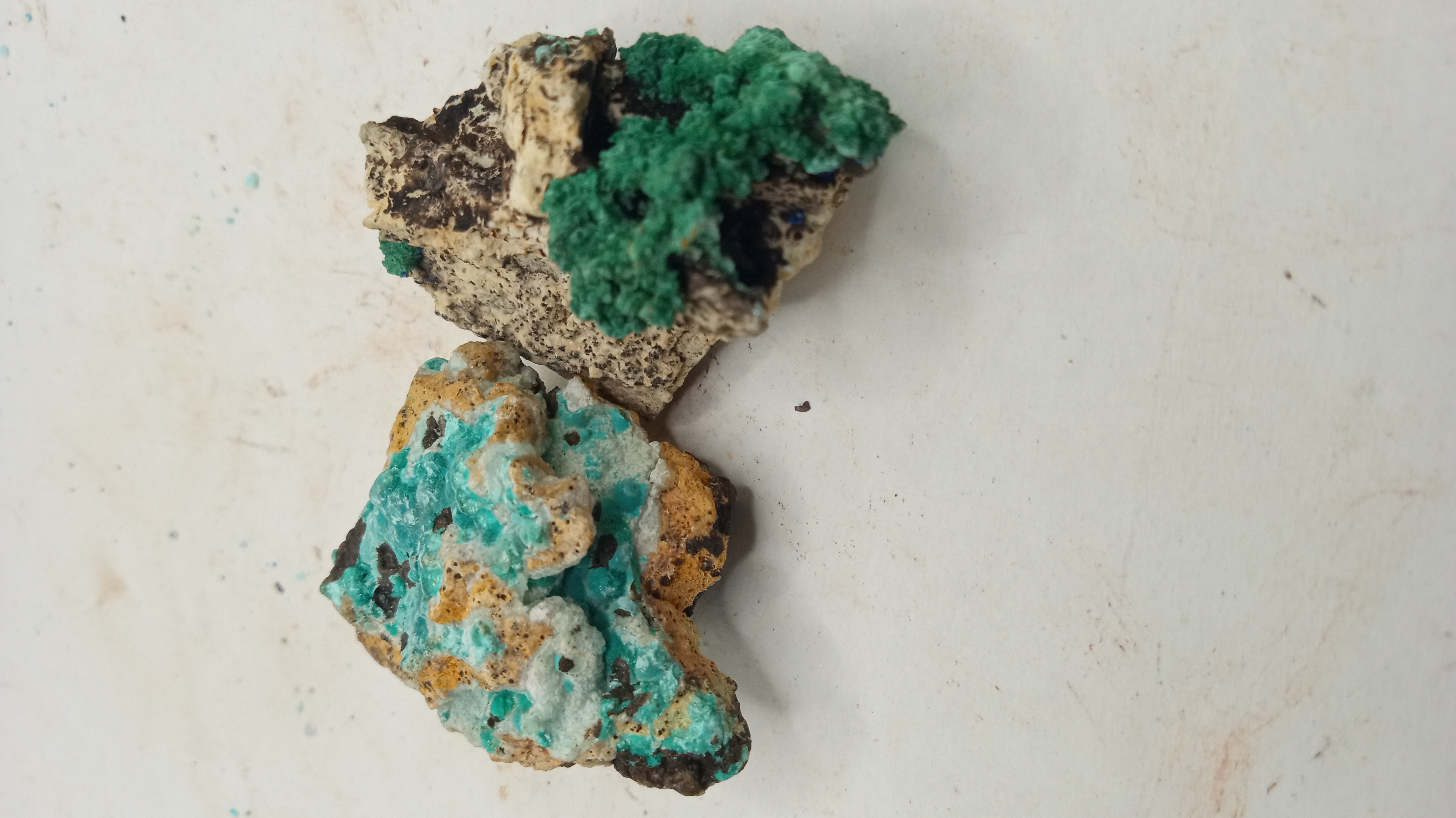 Aurichalcite / Rosasite Beauties Mineral Specimens ( 2 )