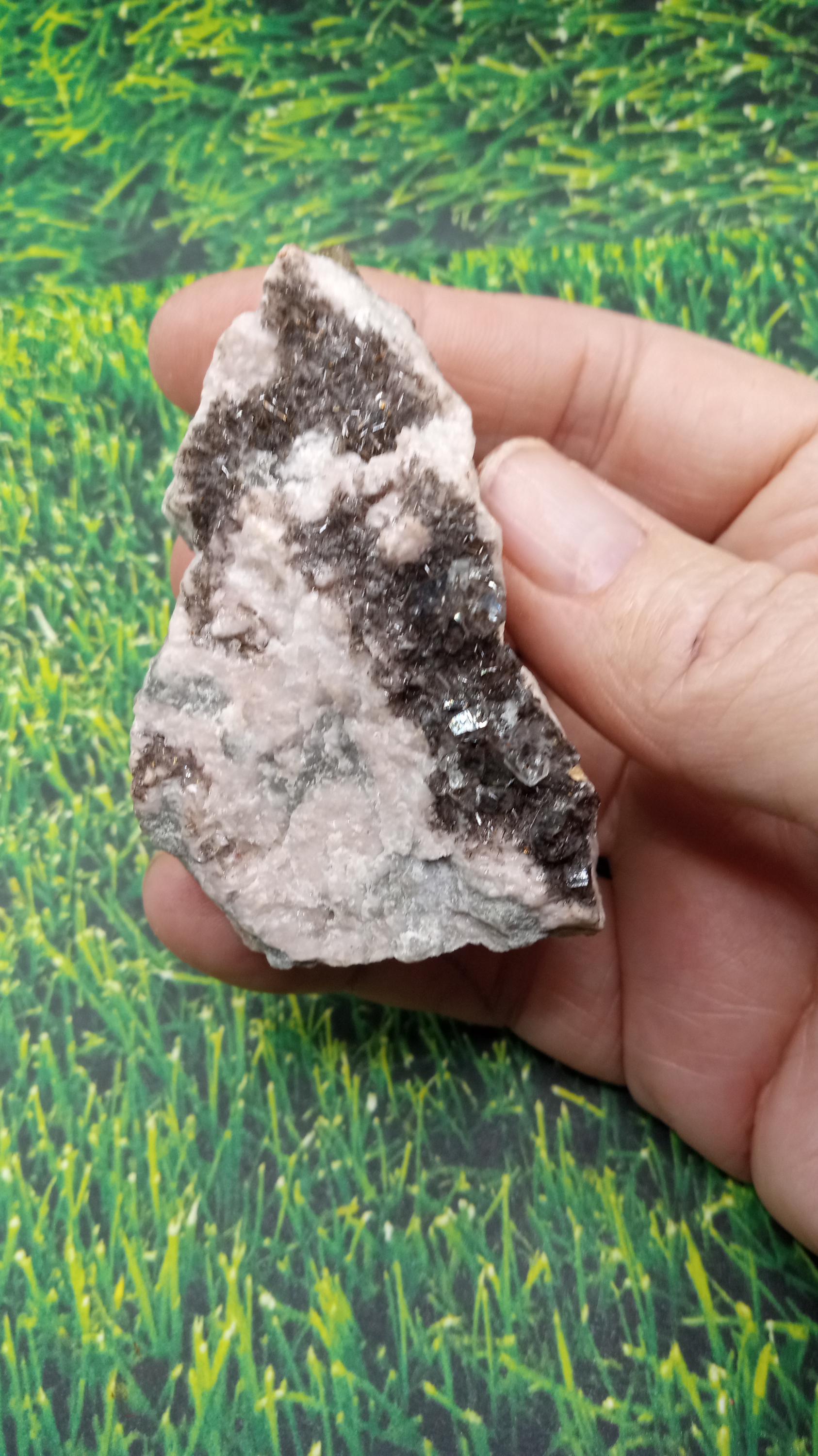 Halite Smoky Quartz  White Quartz 