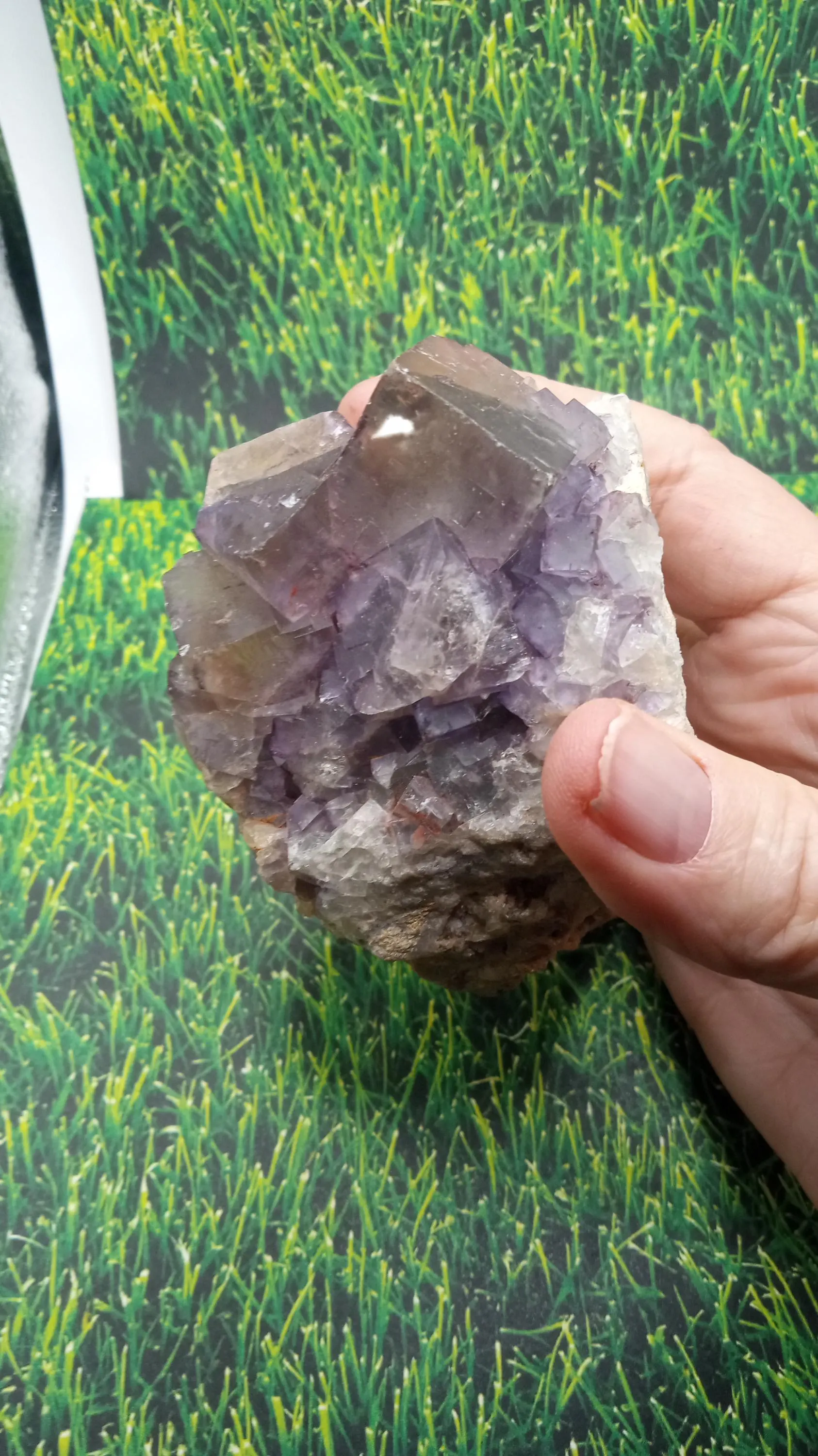 Blue Fluorite Mineral Specimen -