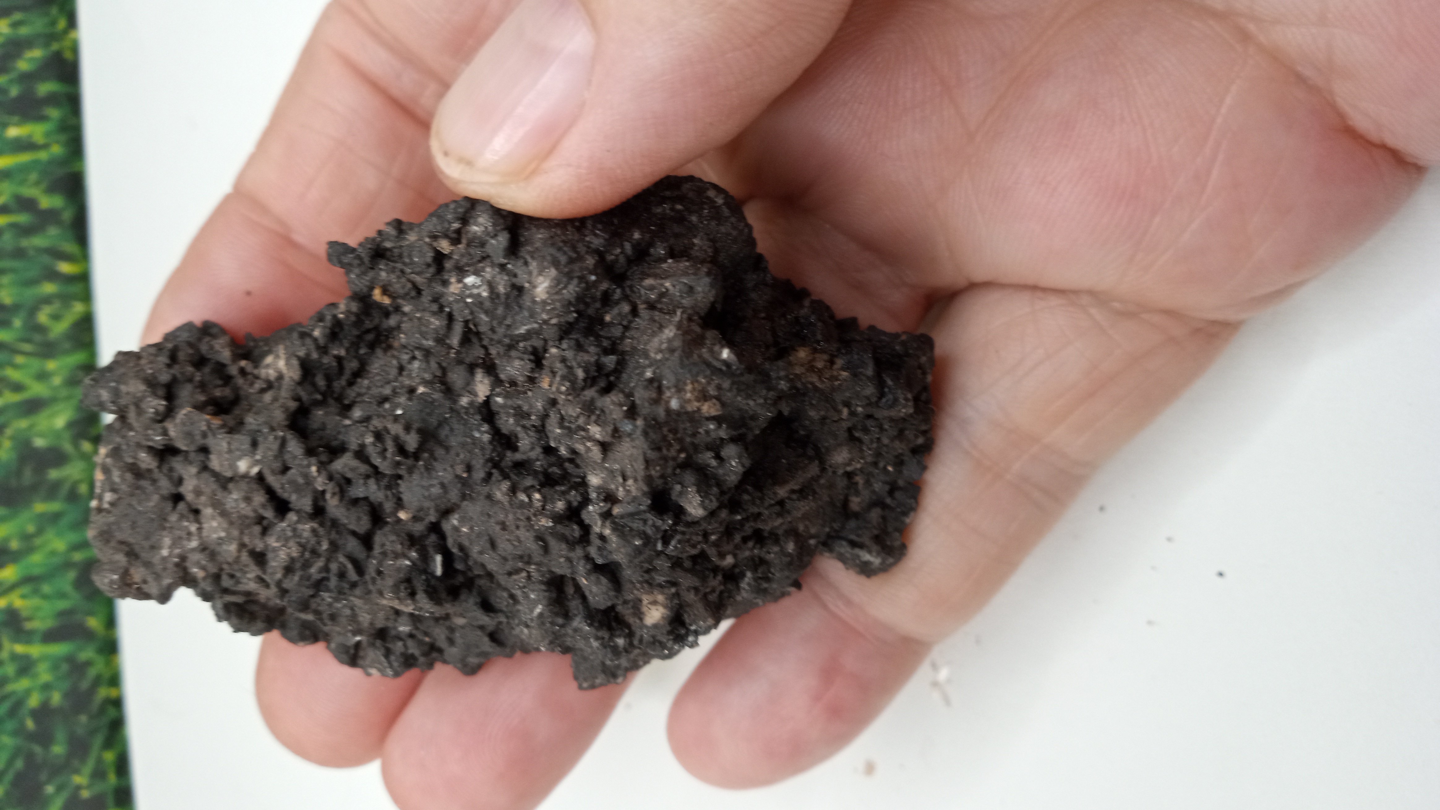 Black Basalt Mineral Specimen ~~