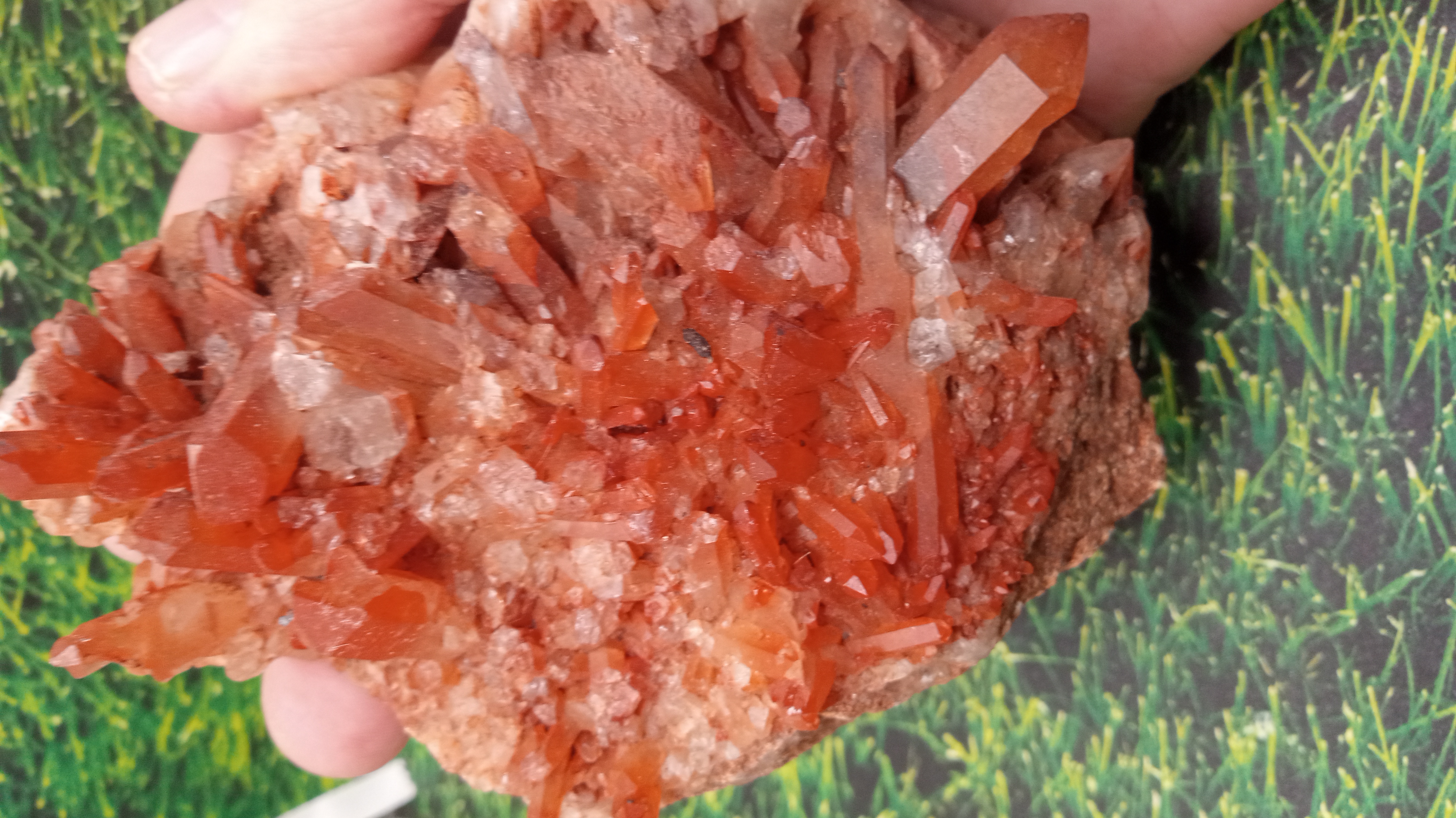 Red Hematoid Quartz Cluster w/ Points - New Mexico