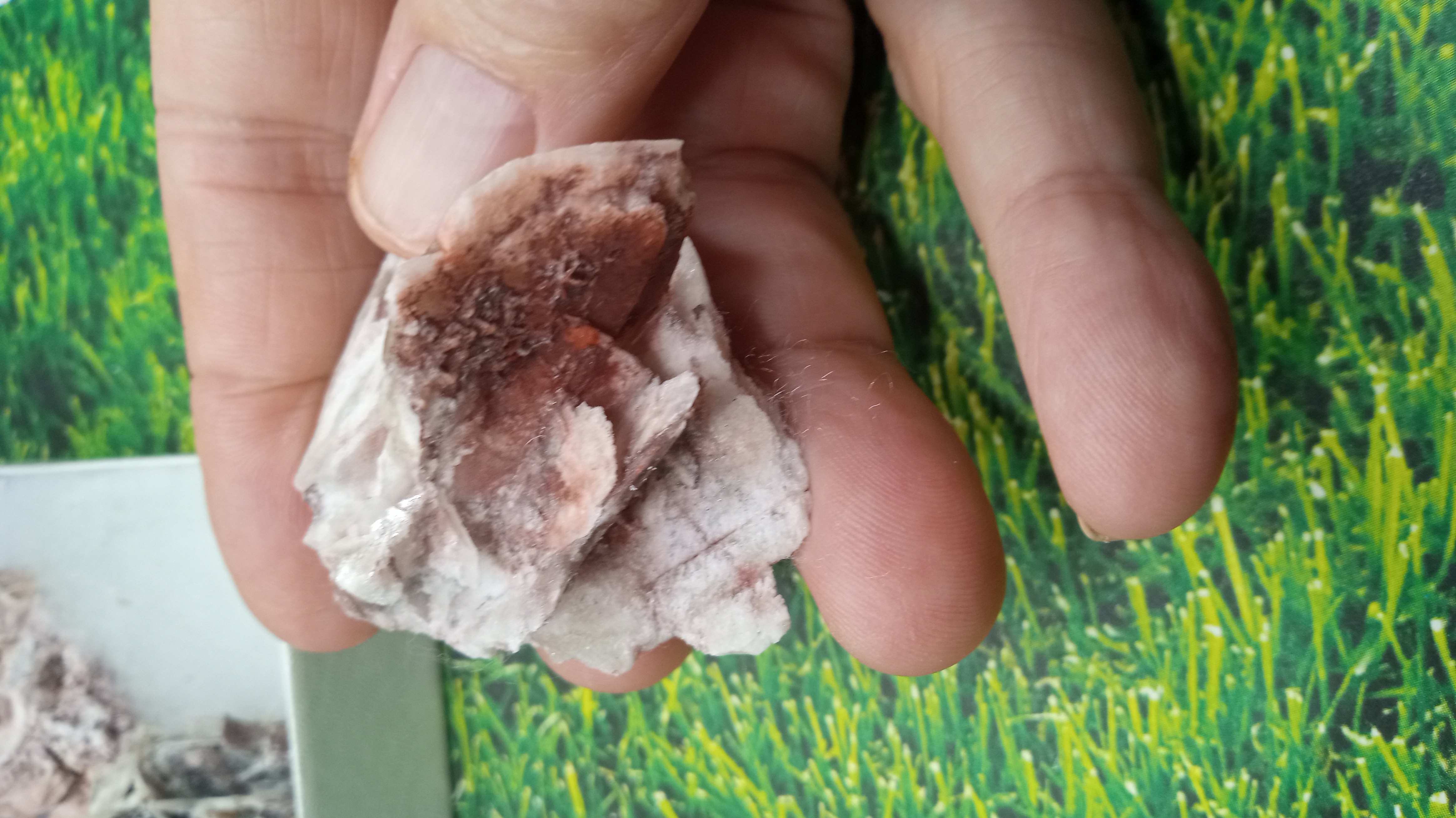 Barite/ Chalcedony /Calcite Odd Shaped Unique Specimens  ( 4) Included ~
