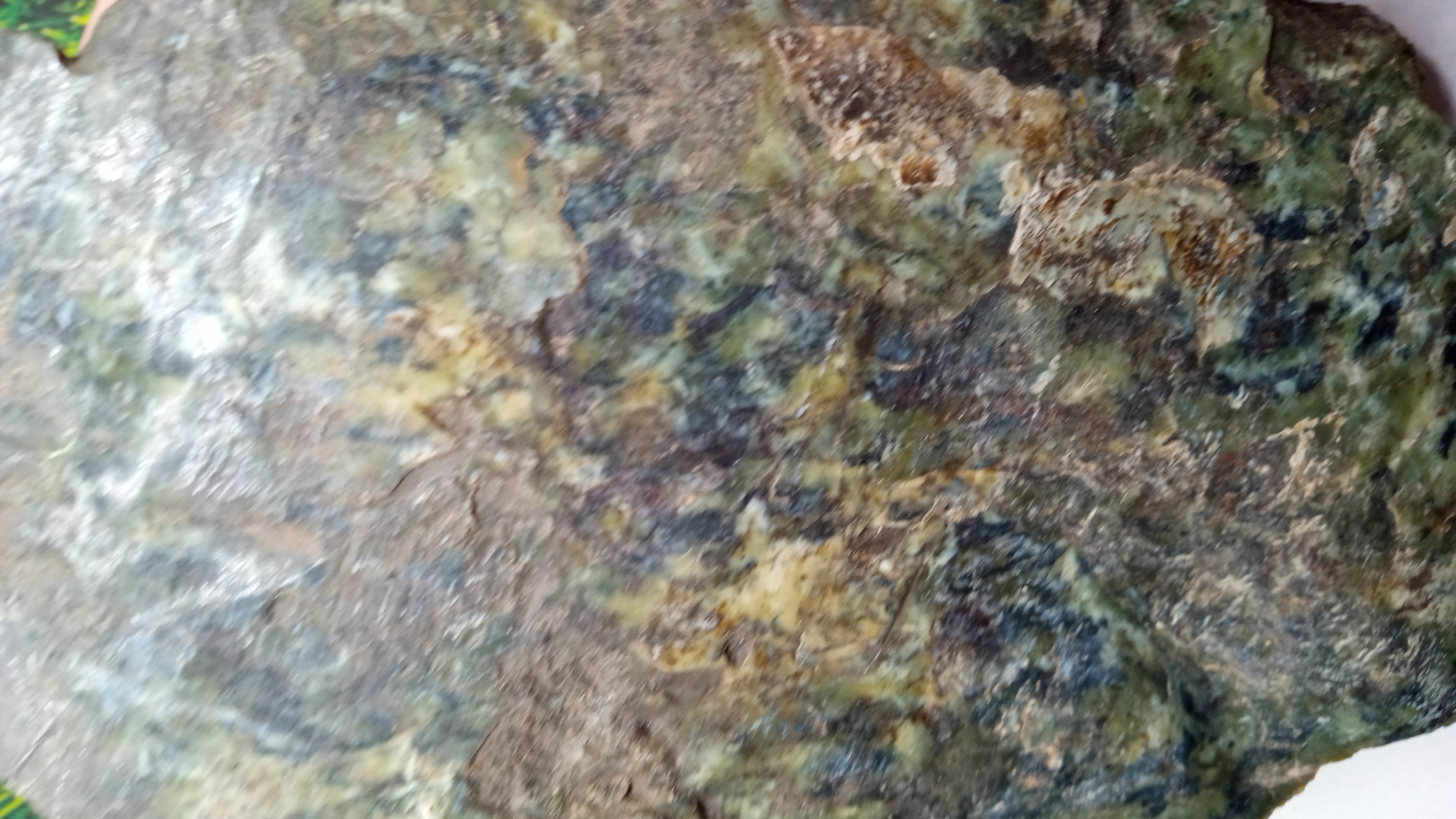 Serpentinite Mineral Specimen - Klamath Mountains, California