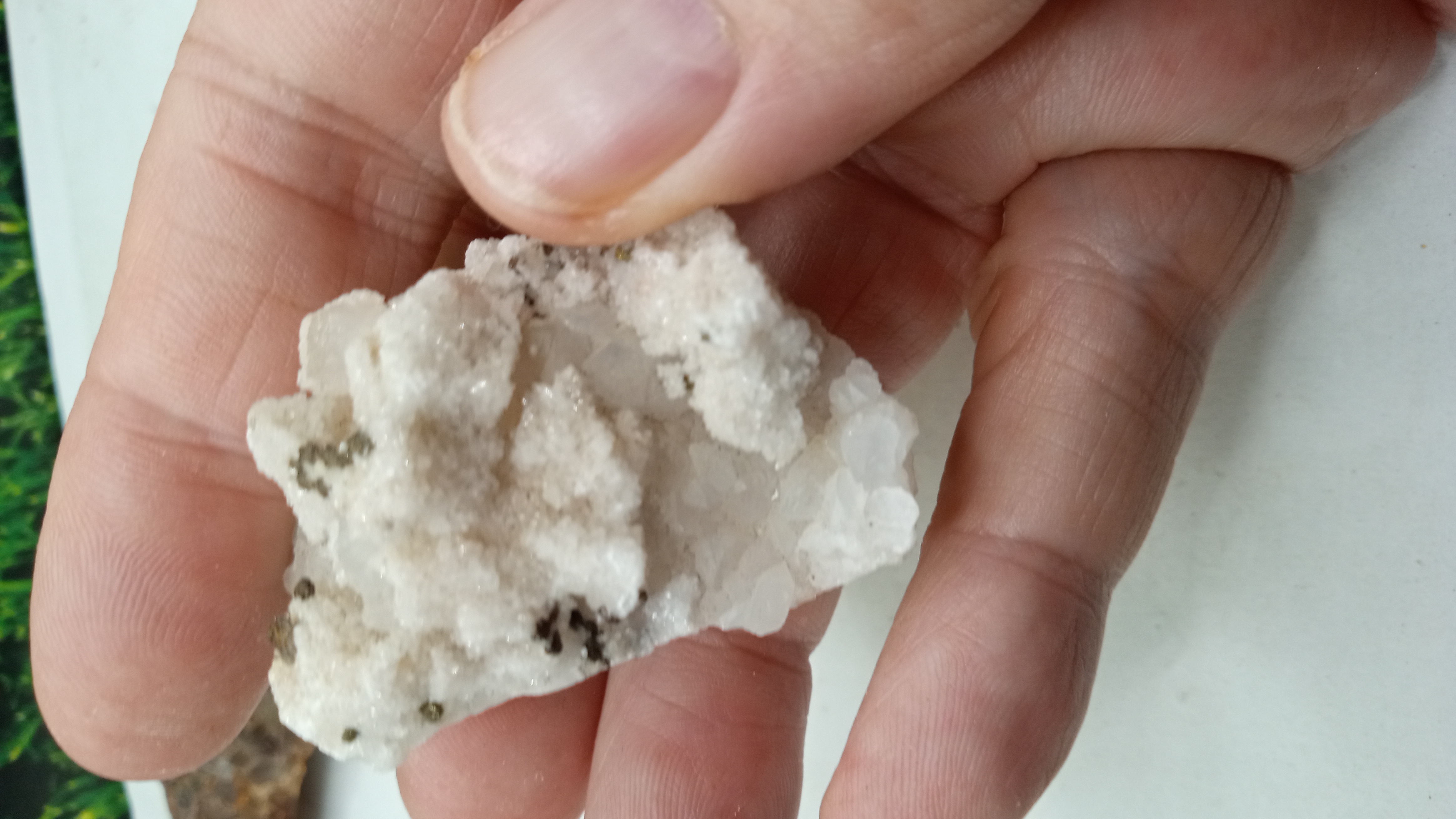 Variety of unique Minerals from Socorro Mines, New Mexico ( 4 ) Included ~