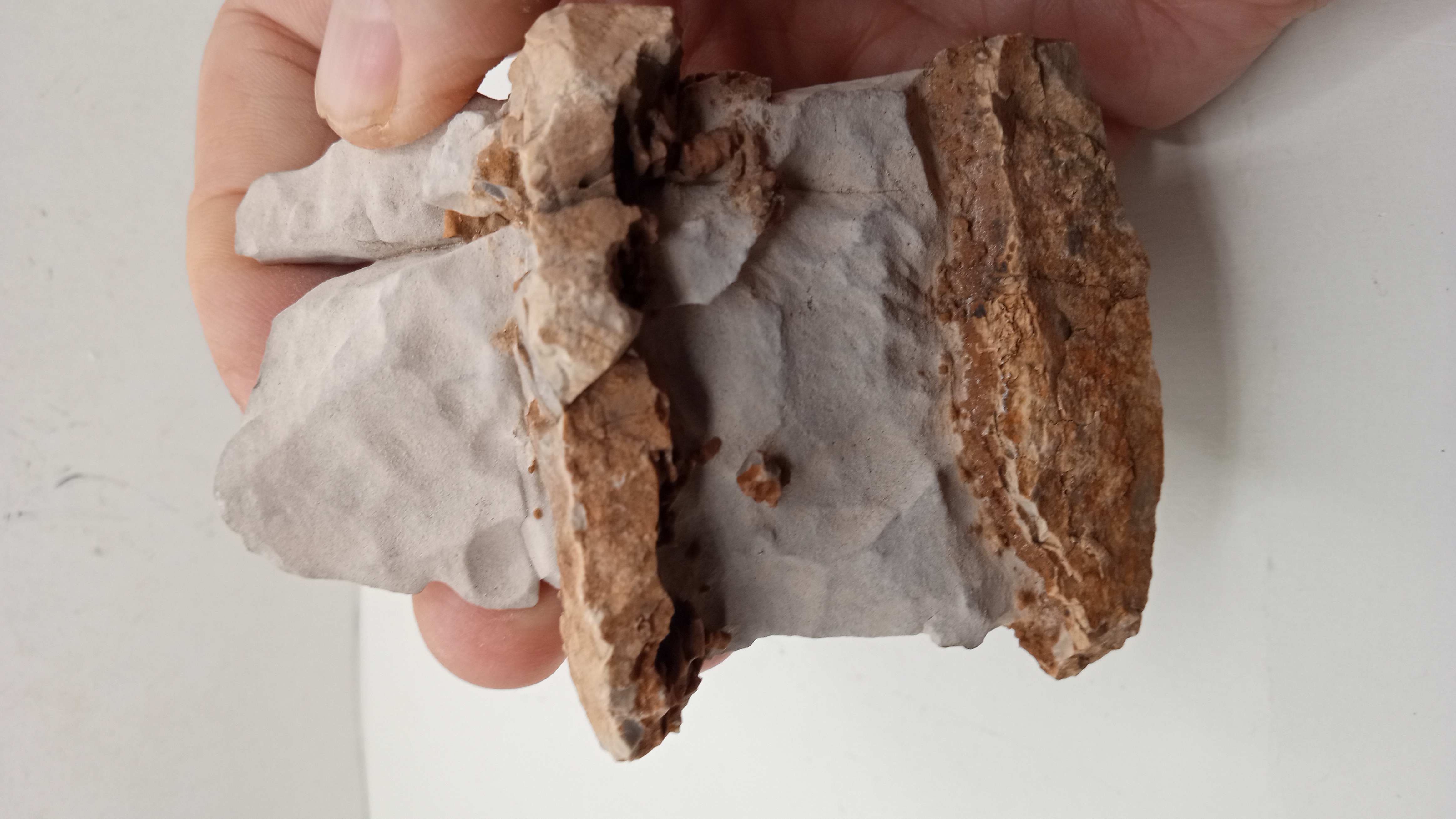 Chert/Siliceous layers in limestone w/ differential erosion