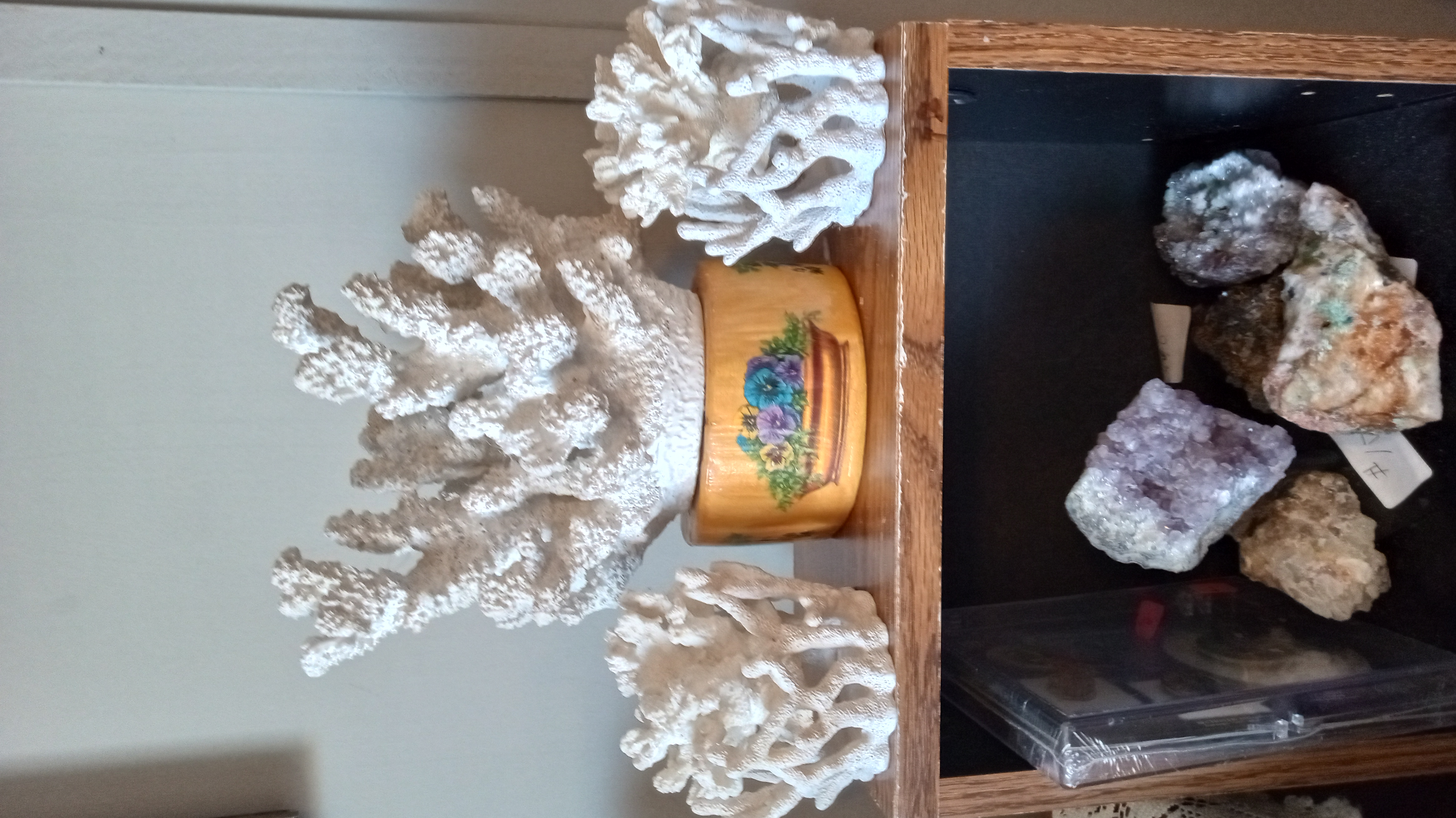 Beautiful 3 Piece White Coral Set - Wood Stand -