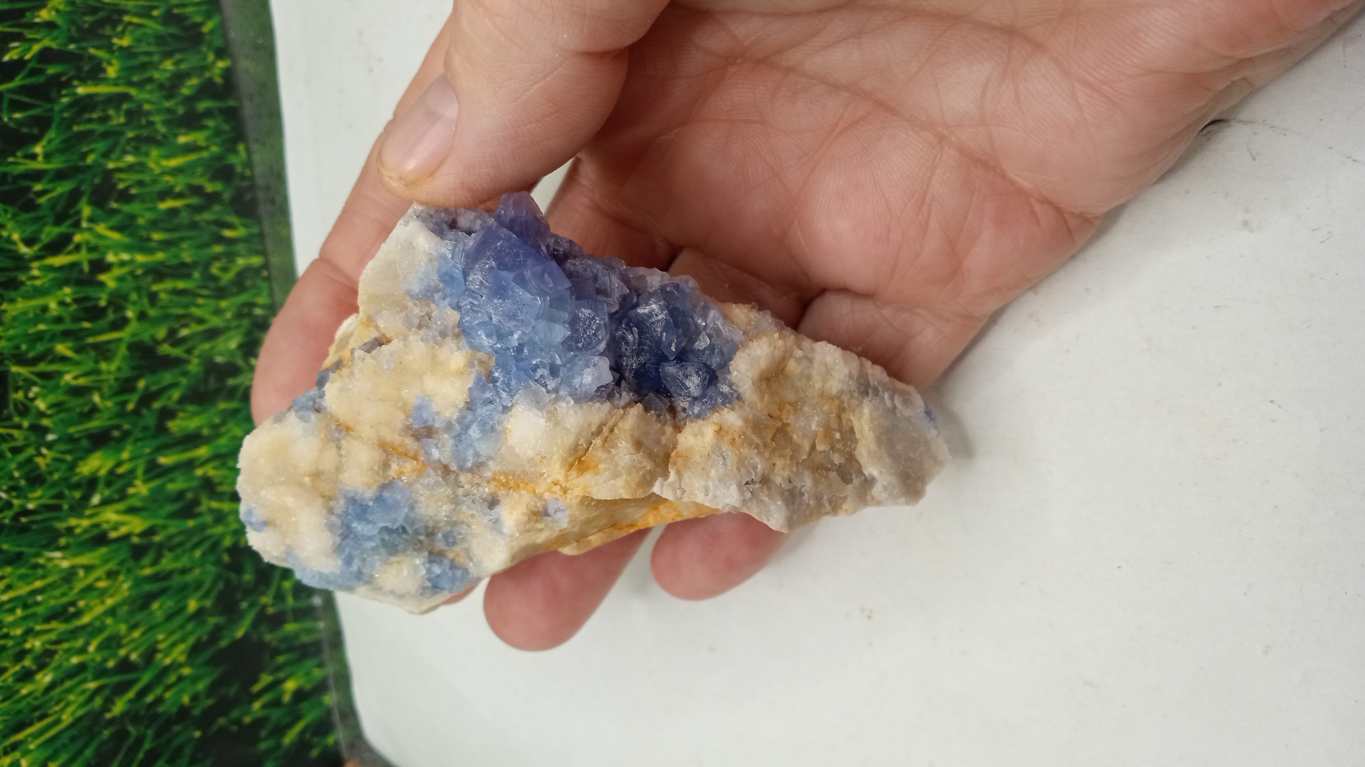 BLUE FLUORITE MINERAL SPECIMEN - Blanchard Mine NM 