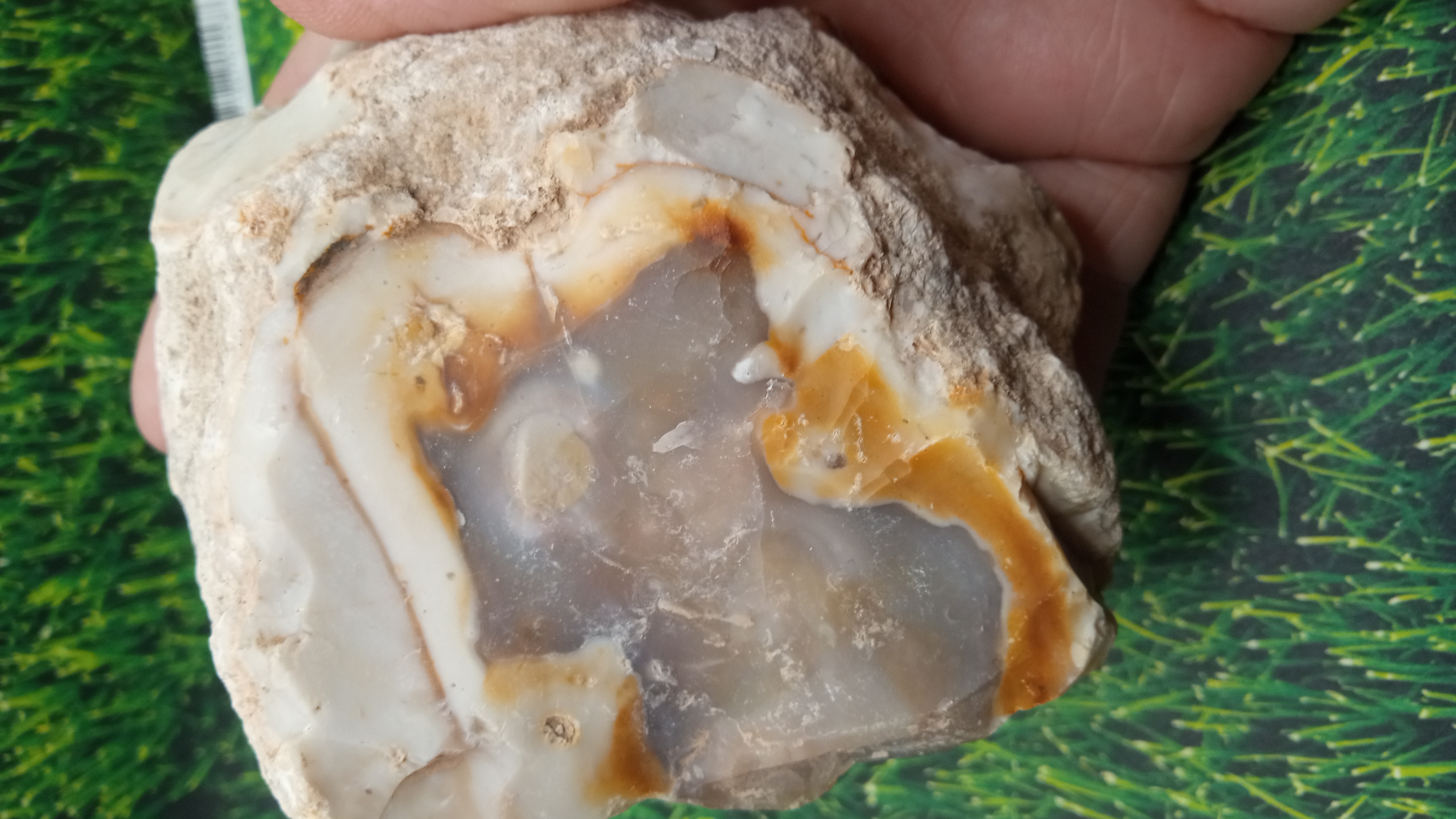 Agate In Natural Form - NEW MEXICO -