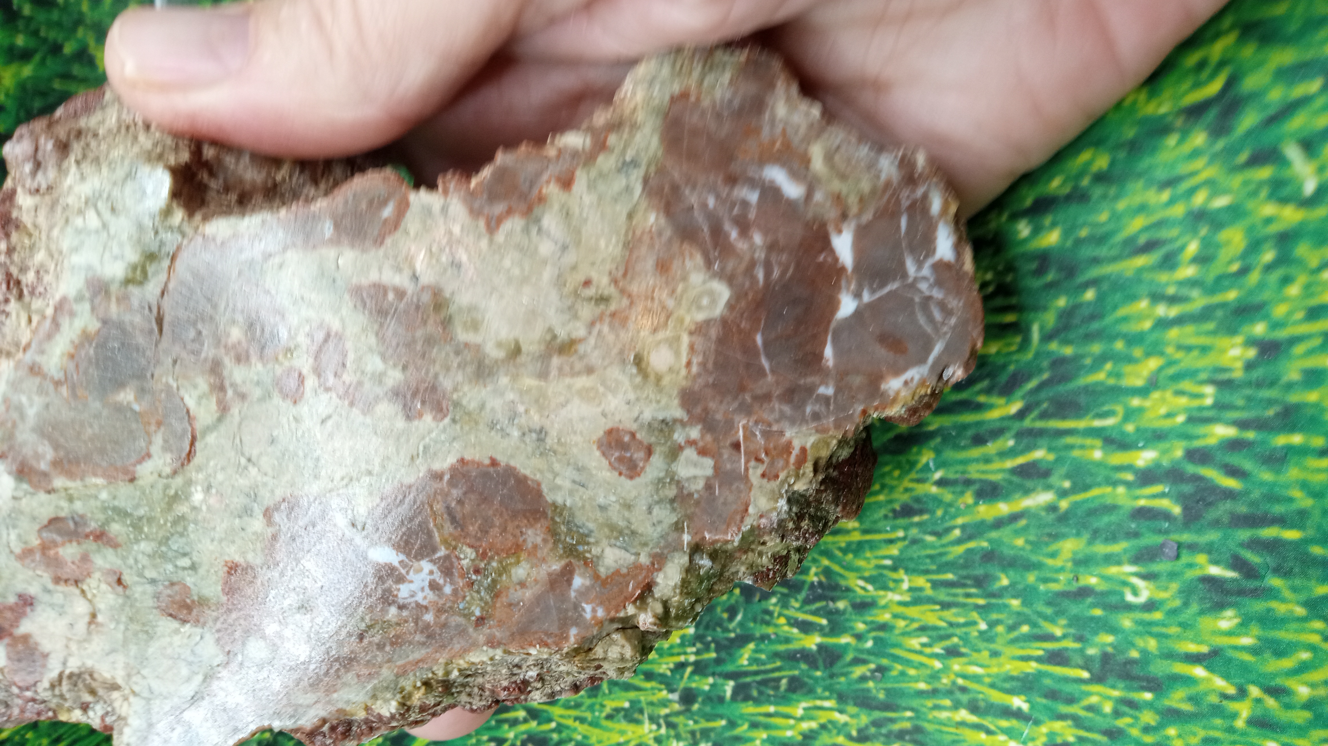 Thunder Egg Specimen in Natural Form ~ Socorro County NM 