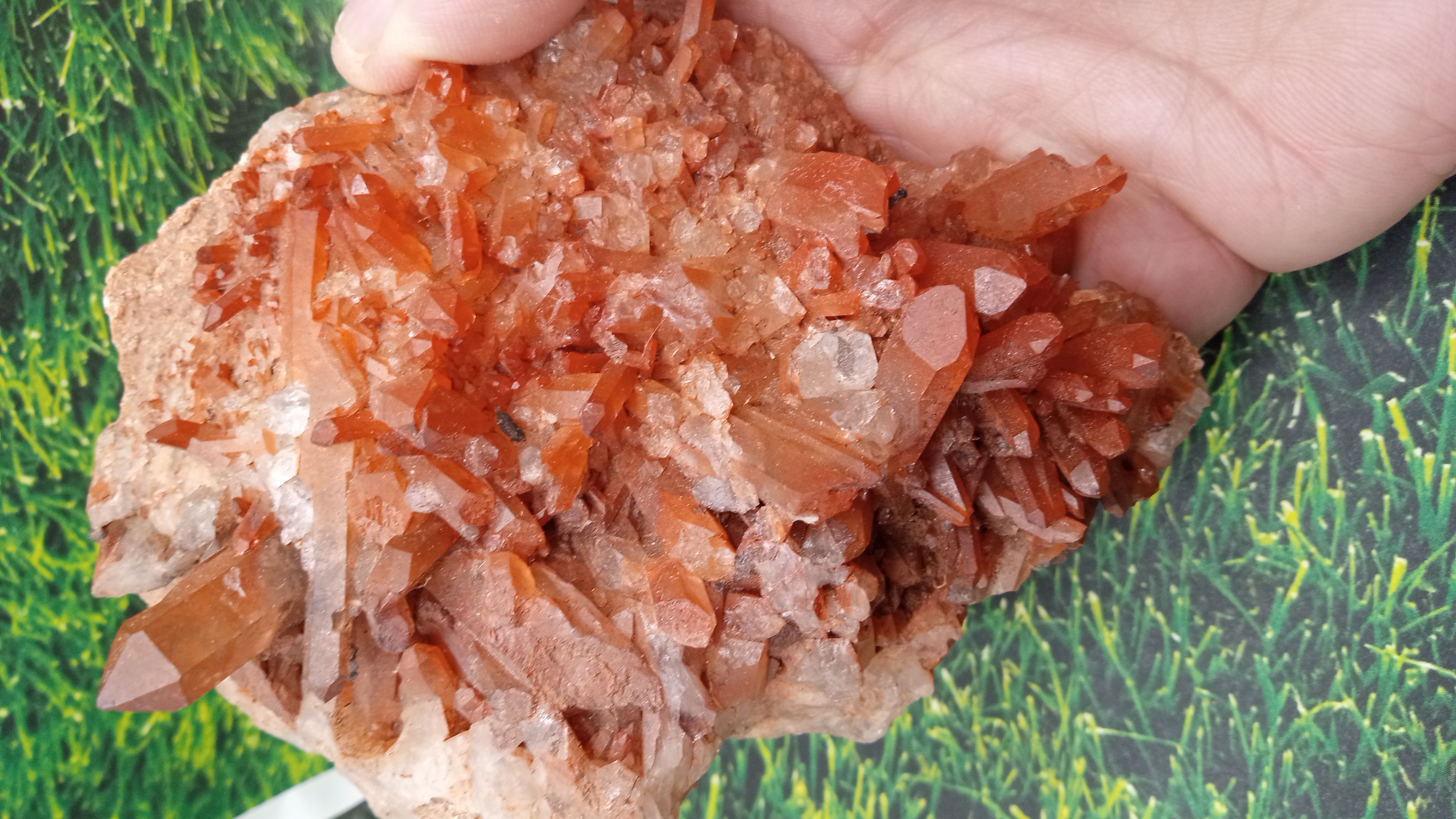 Red Hematoid Quartz Cluster w/ Points - New Mexico