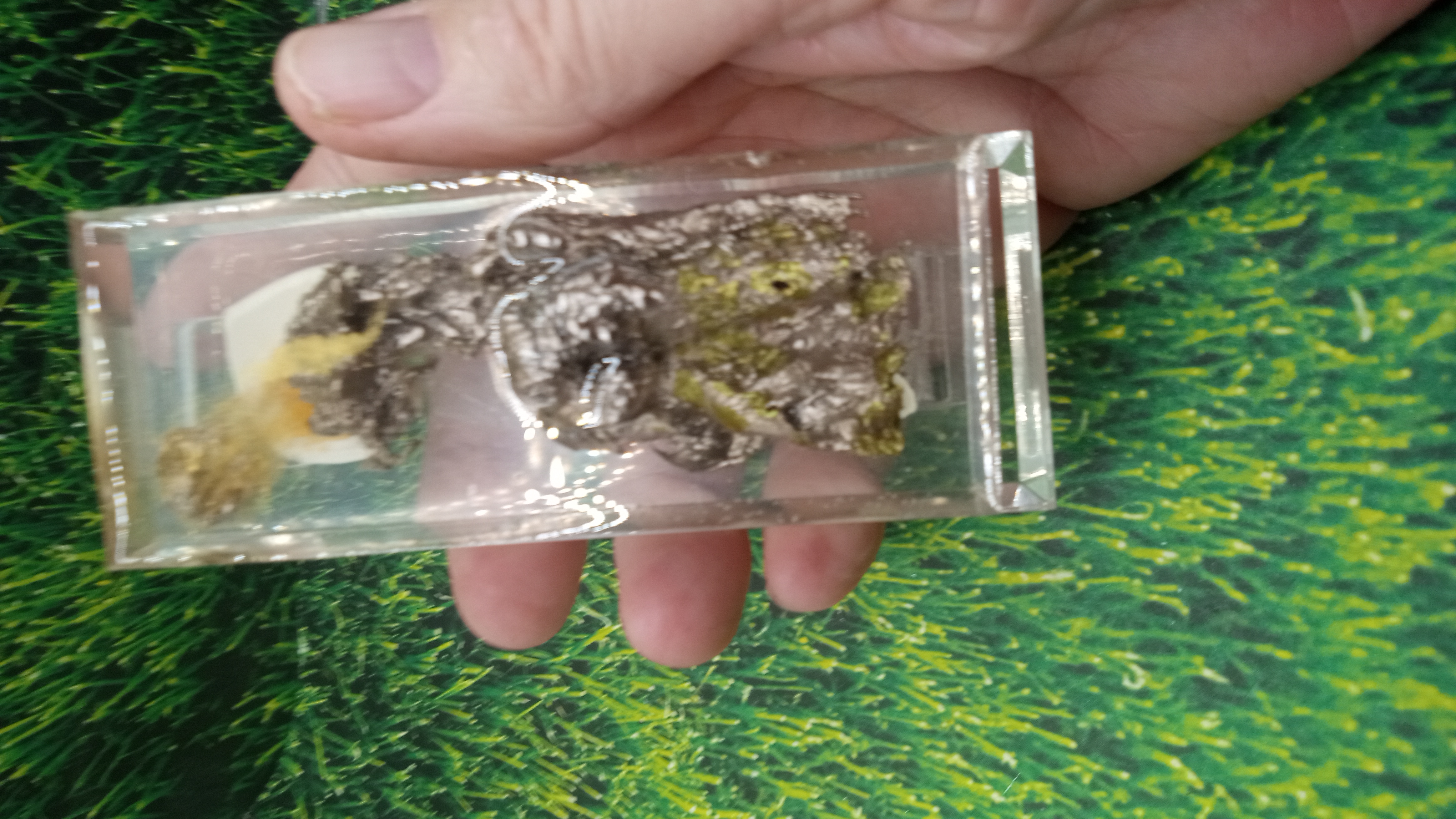 Beautiful Bismuth encased in Acrylic ~ Handmade ~