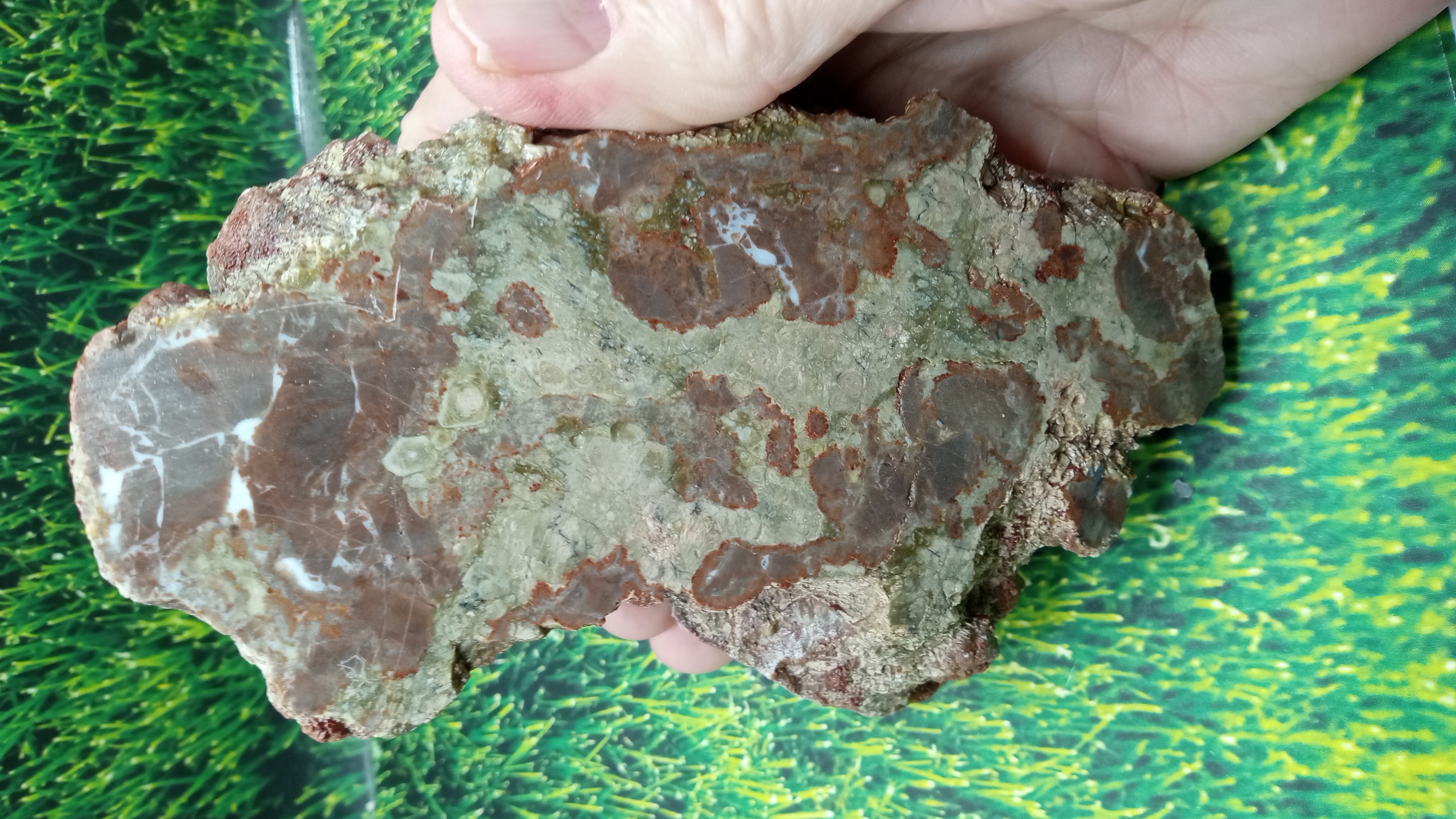 Thunder Egg Specimen in Natural Form ~ Socorro County NM 