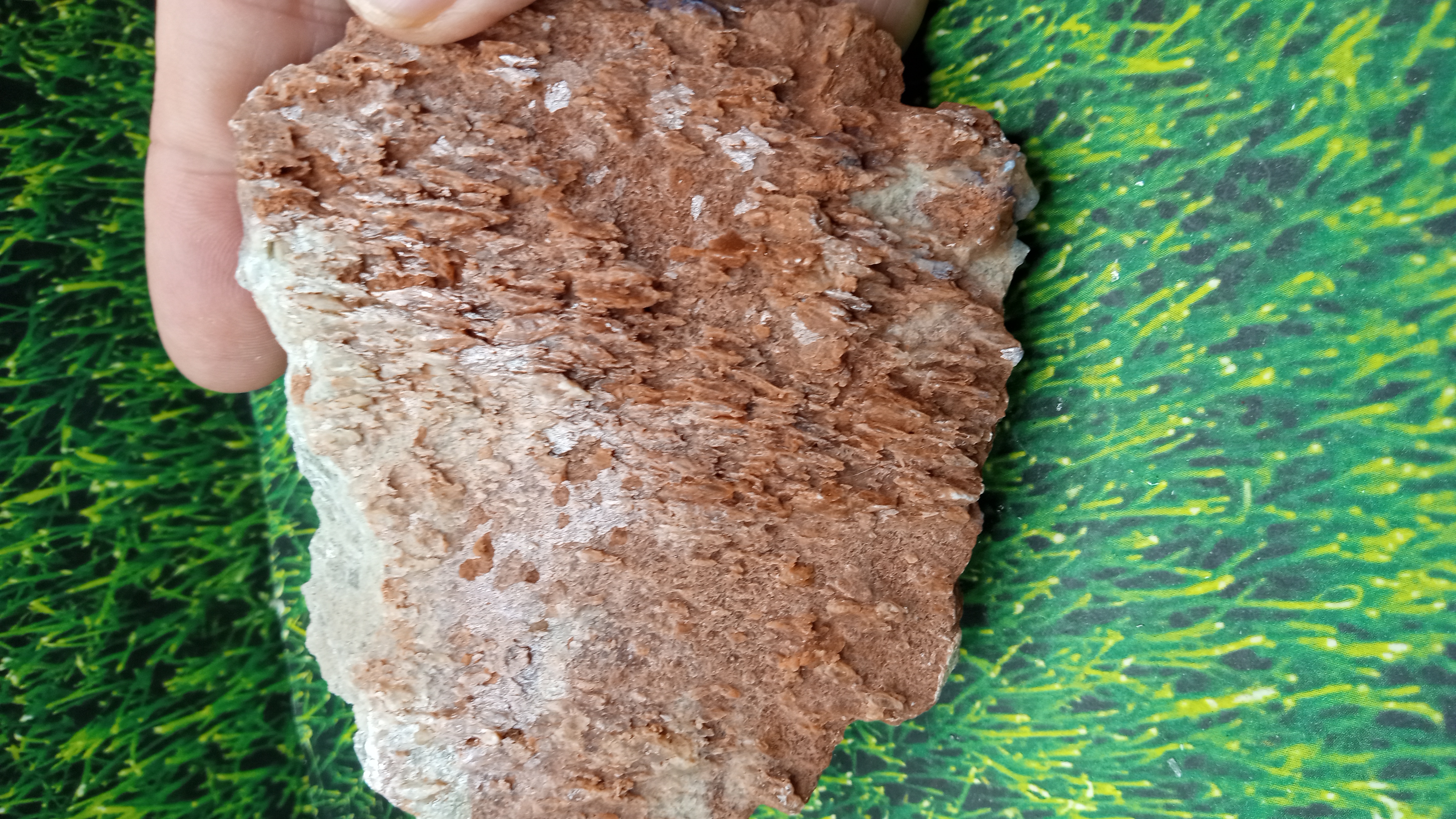 Red Barite Mineral Specimen ~ Arizona ~ 