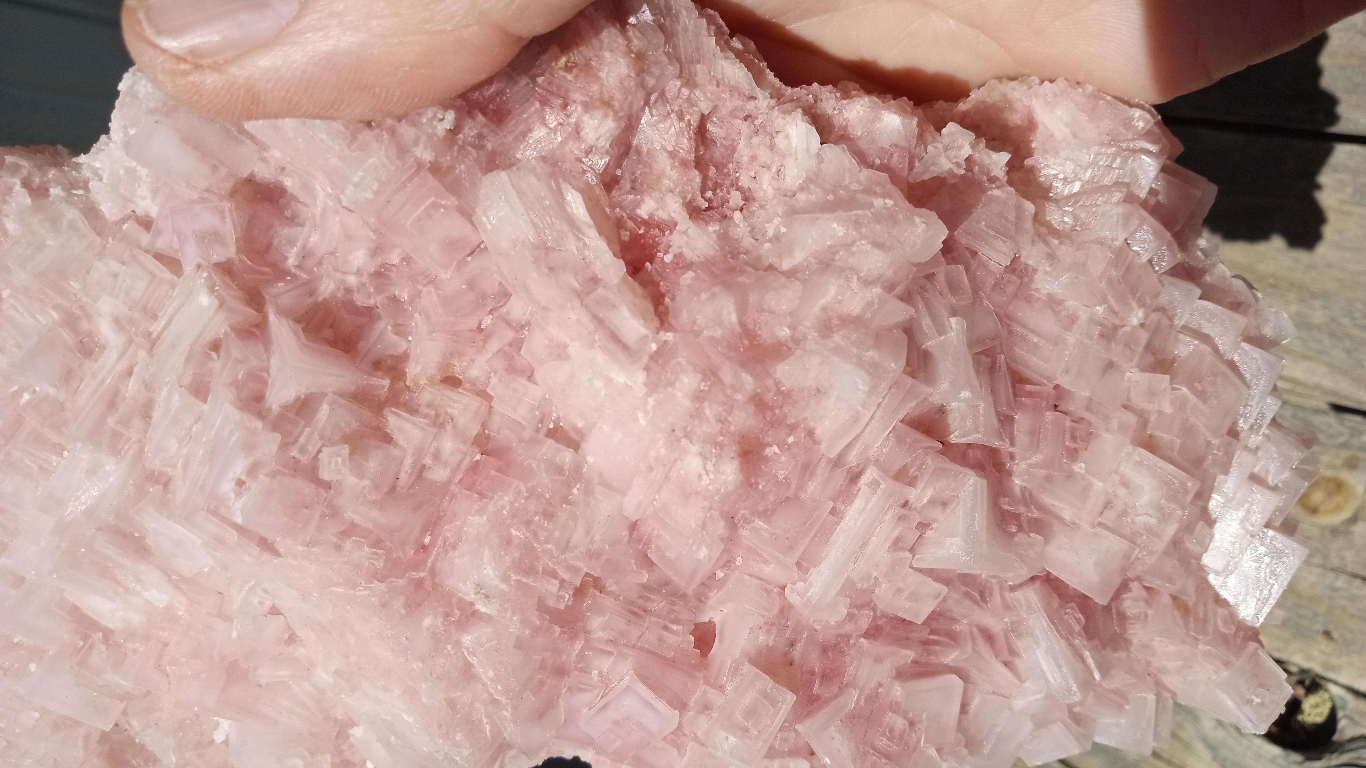 Stunning Large Pink Halite from Searles Lake, CA