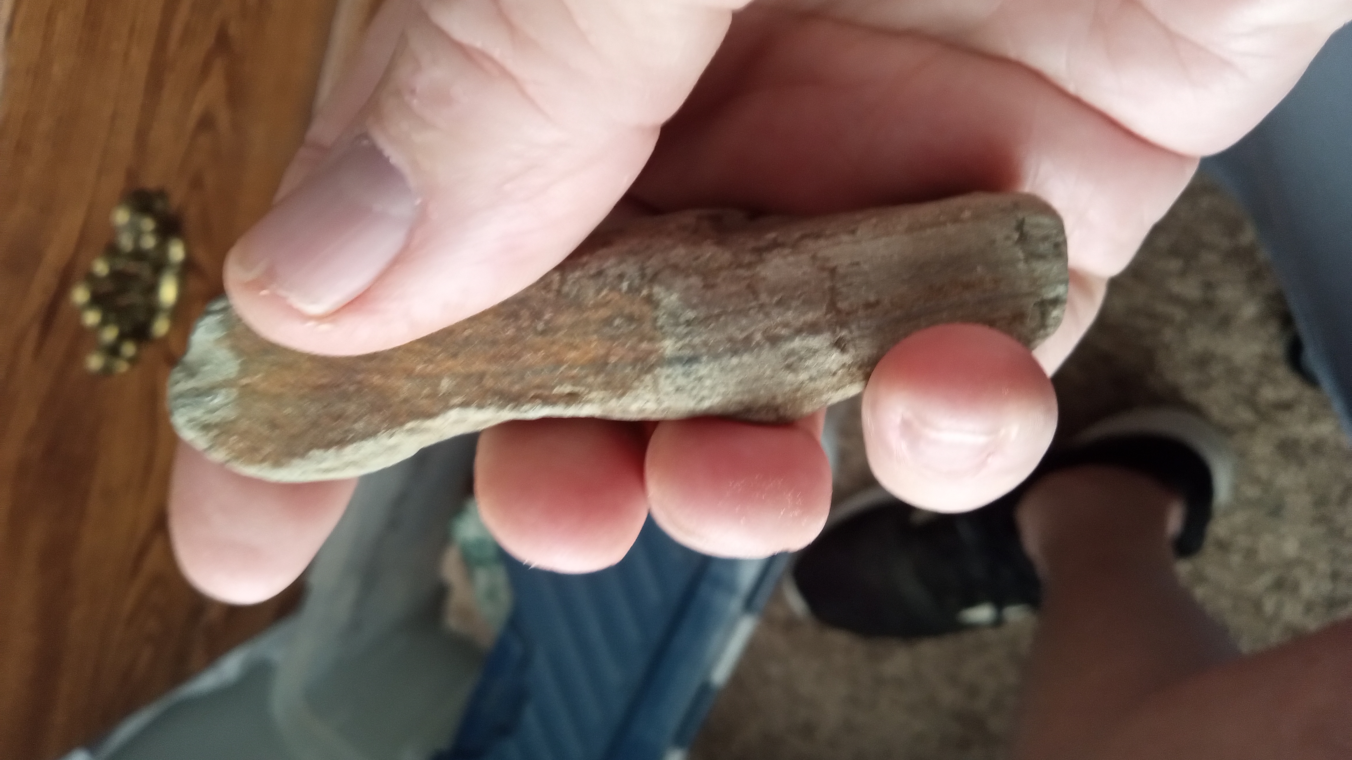 Limestone Rock Shaped like Arrow Head - Found in Unmarked Ghost Town House ~ NM ~