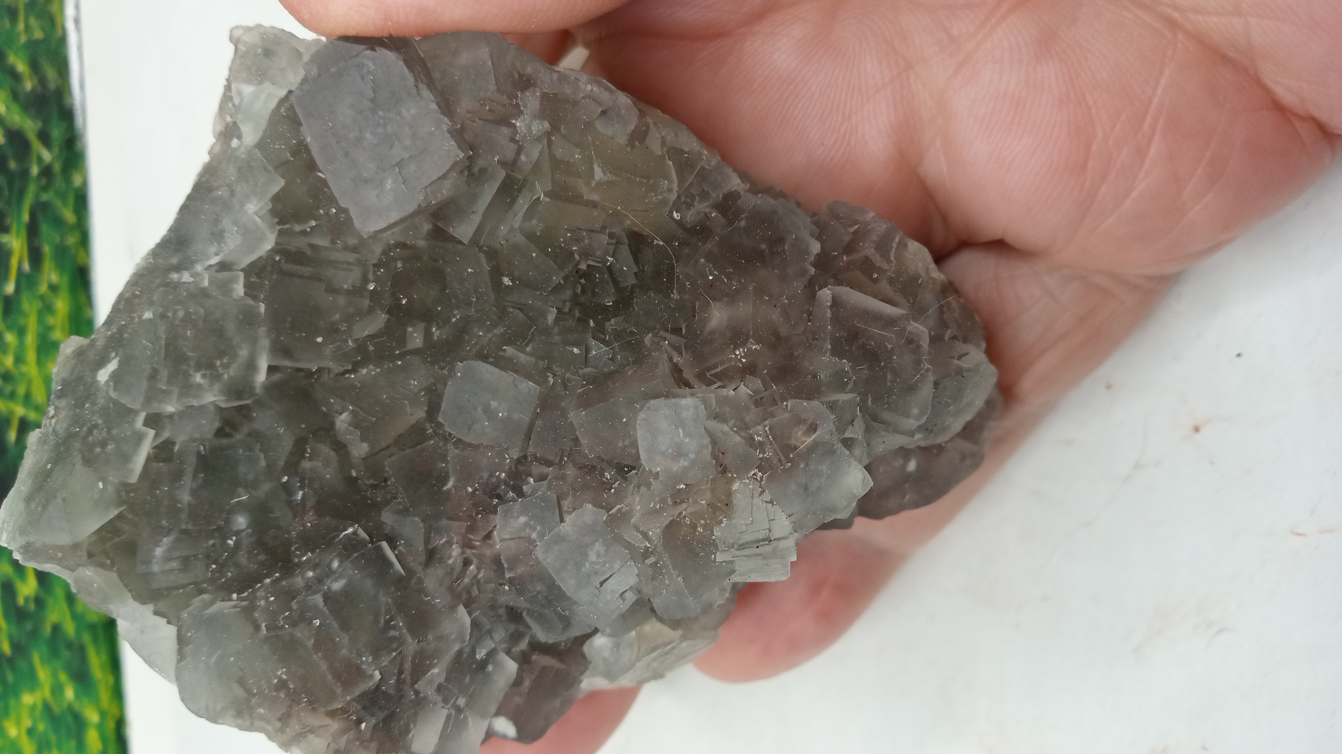 Super Dark Green Fluorite ~ GILA FLUORSPAR DISTRICT AZ