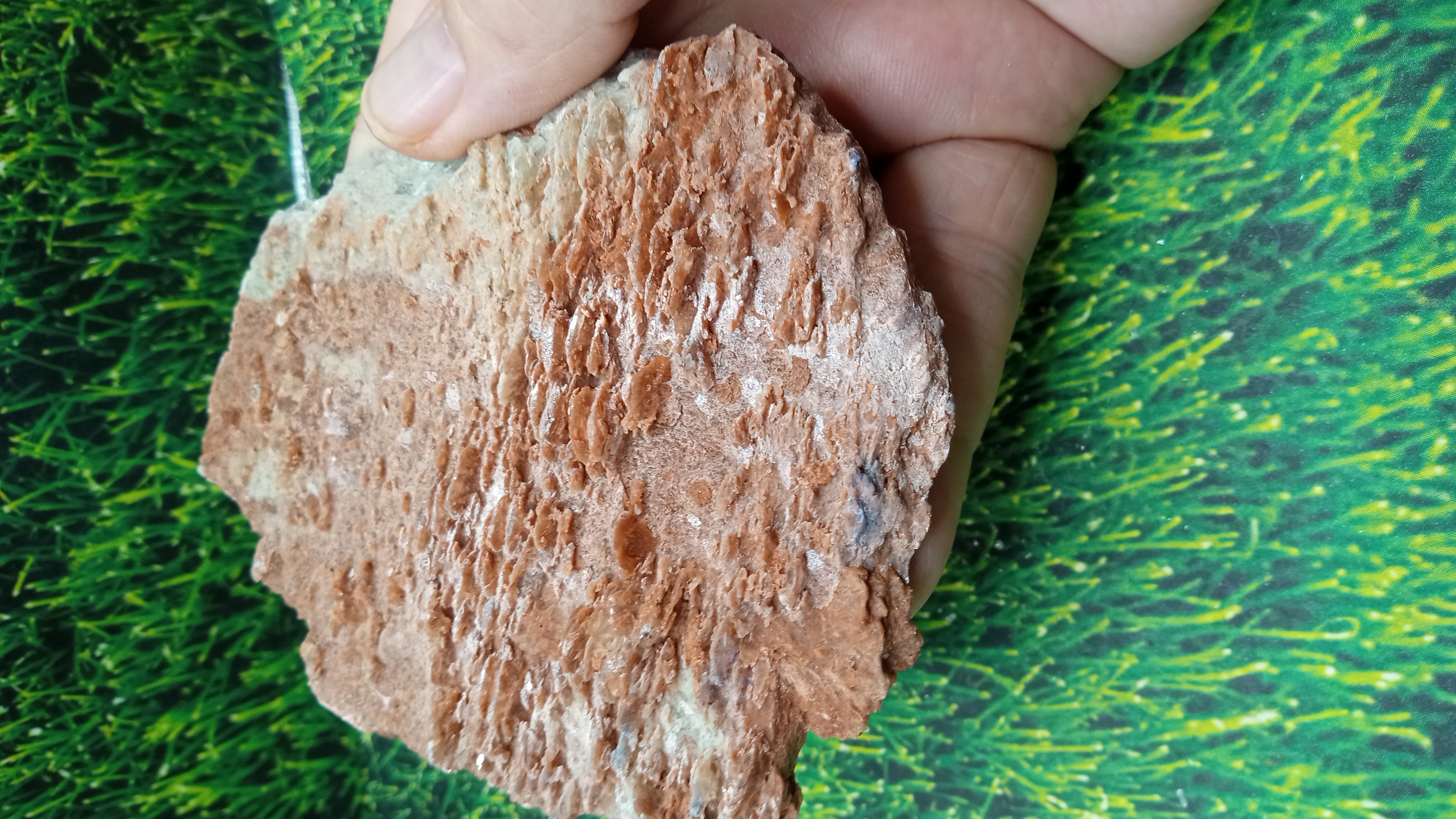 Red Barite Mineral Specimen ~ Arizona ~ 