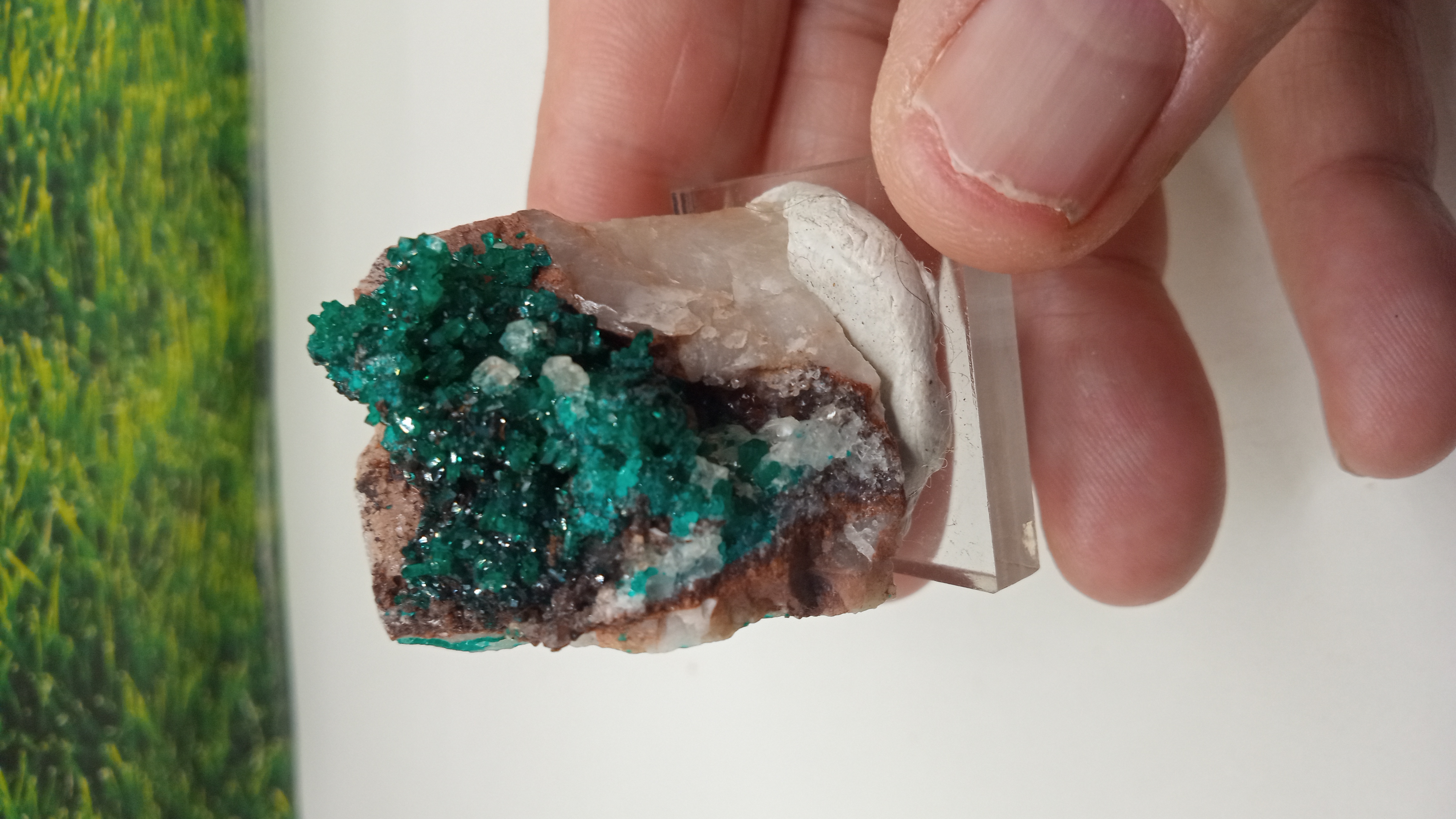 Dioptase - Namibia The Tsumeb Mine on Acrylic Stand