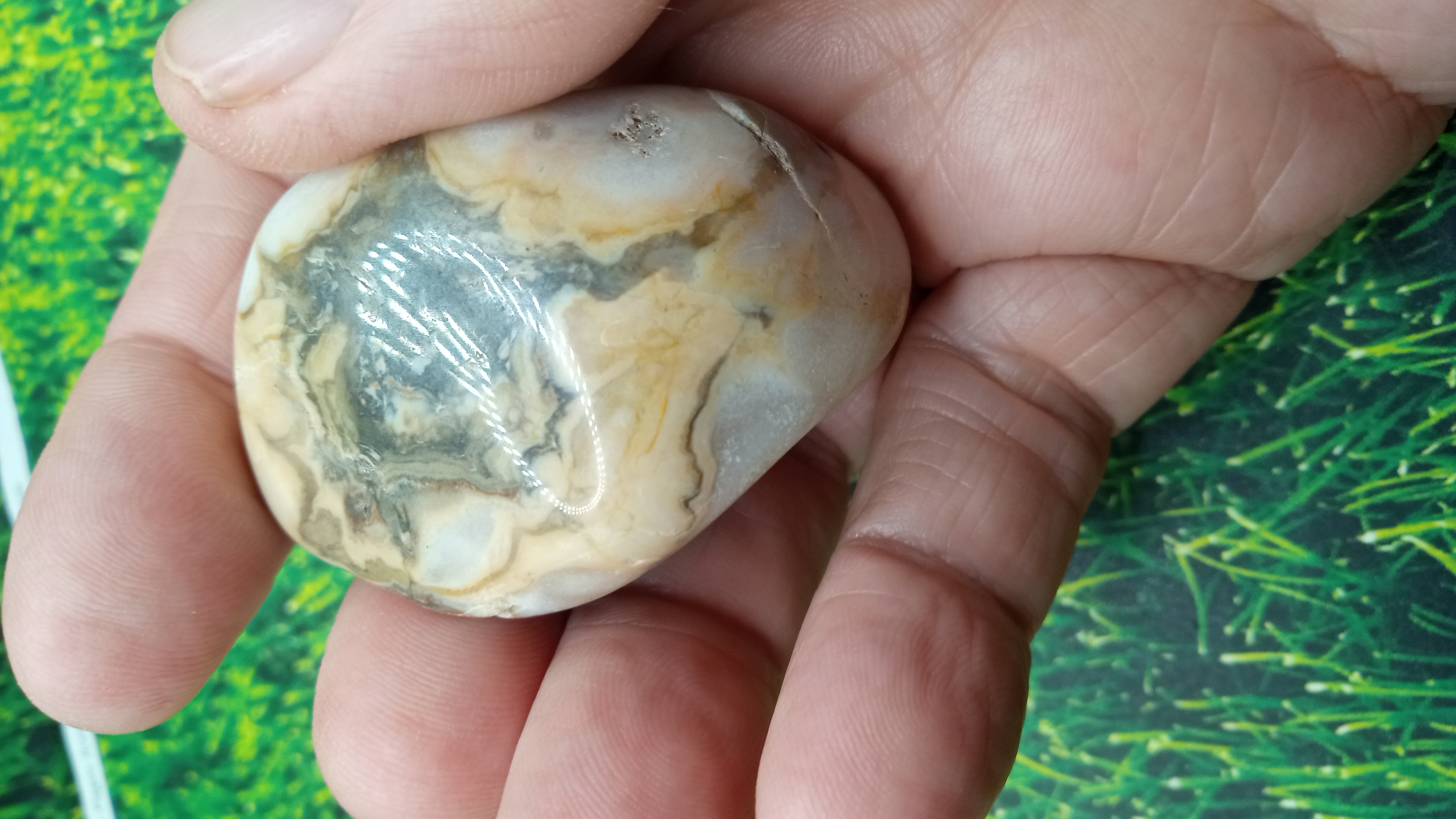 Jasper & Breccoated Jasper - ( 2 ) Pieces -