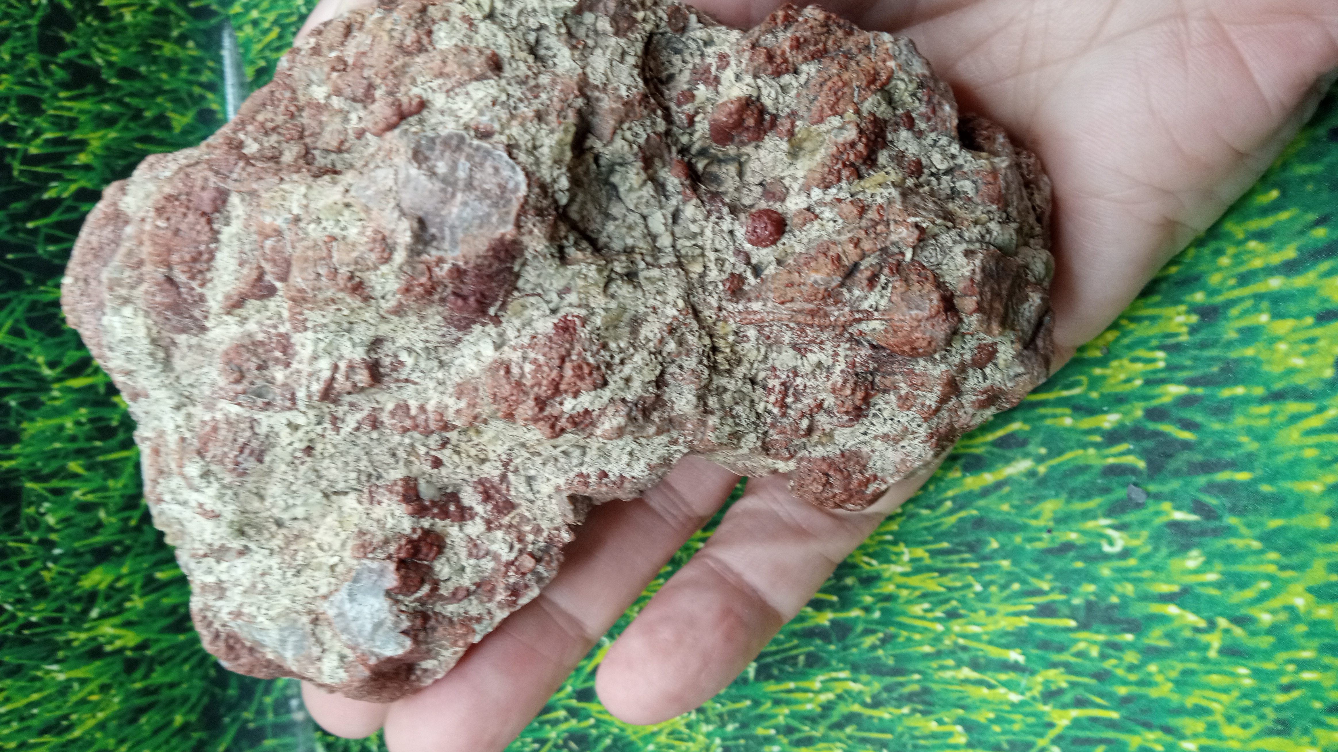 Thunder Egg Specimen in Natural Form ~ Socorro County NM 