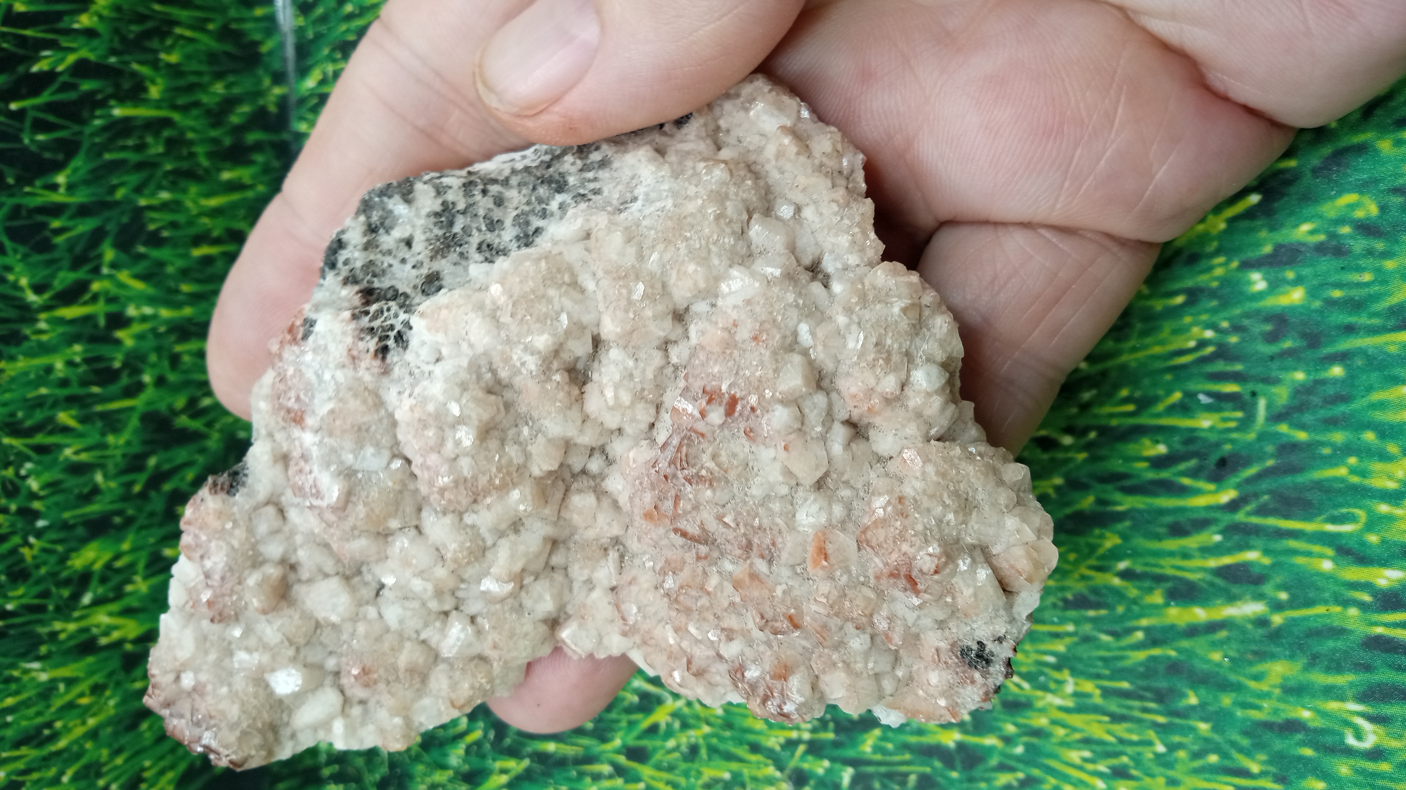 Calcite and Halite Mineral Specimen - New Mexico ~