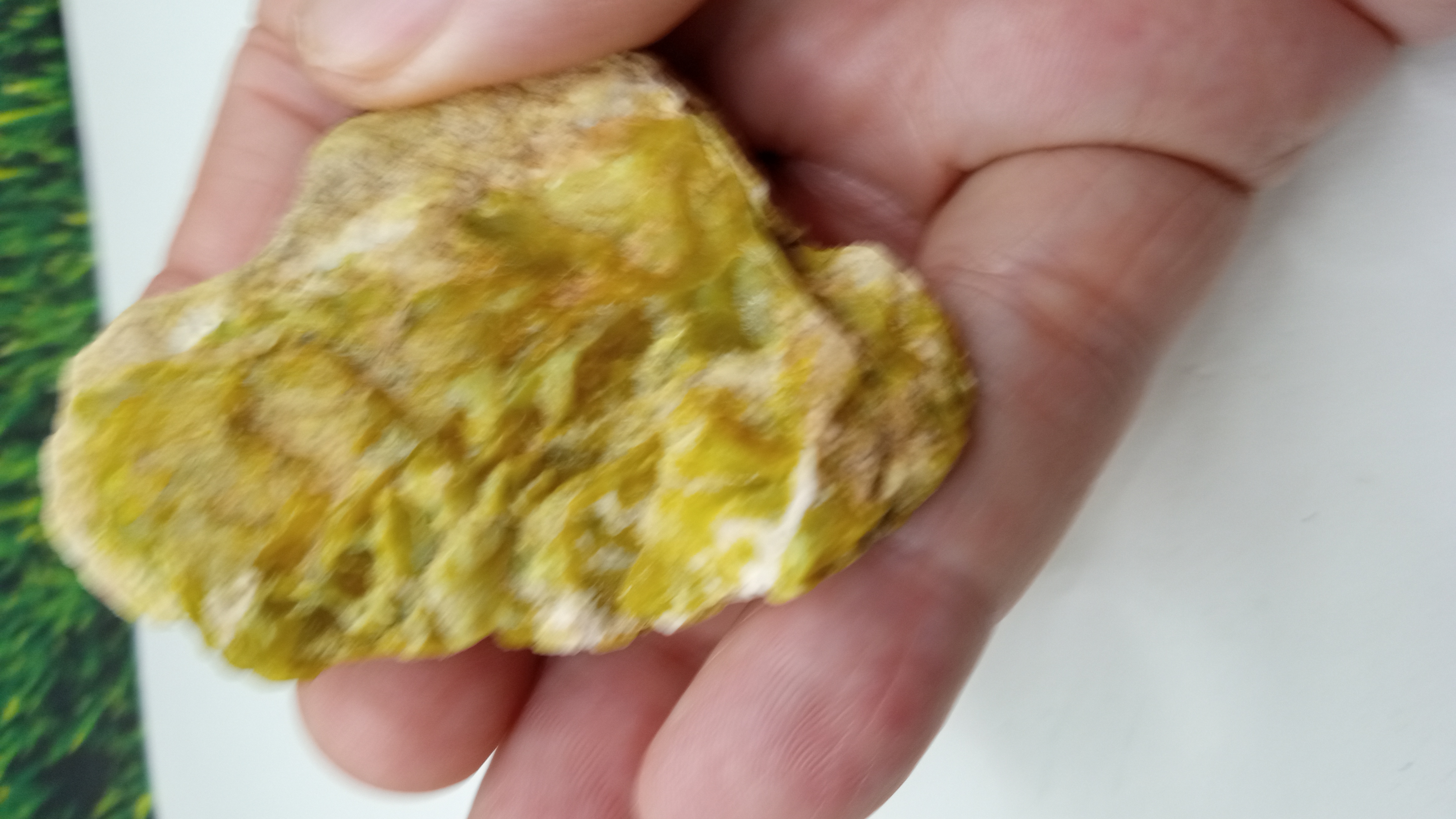 Olivine Jasper Mineral Specimen ~ Arizona ~ ( 2 ) Included ~
