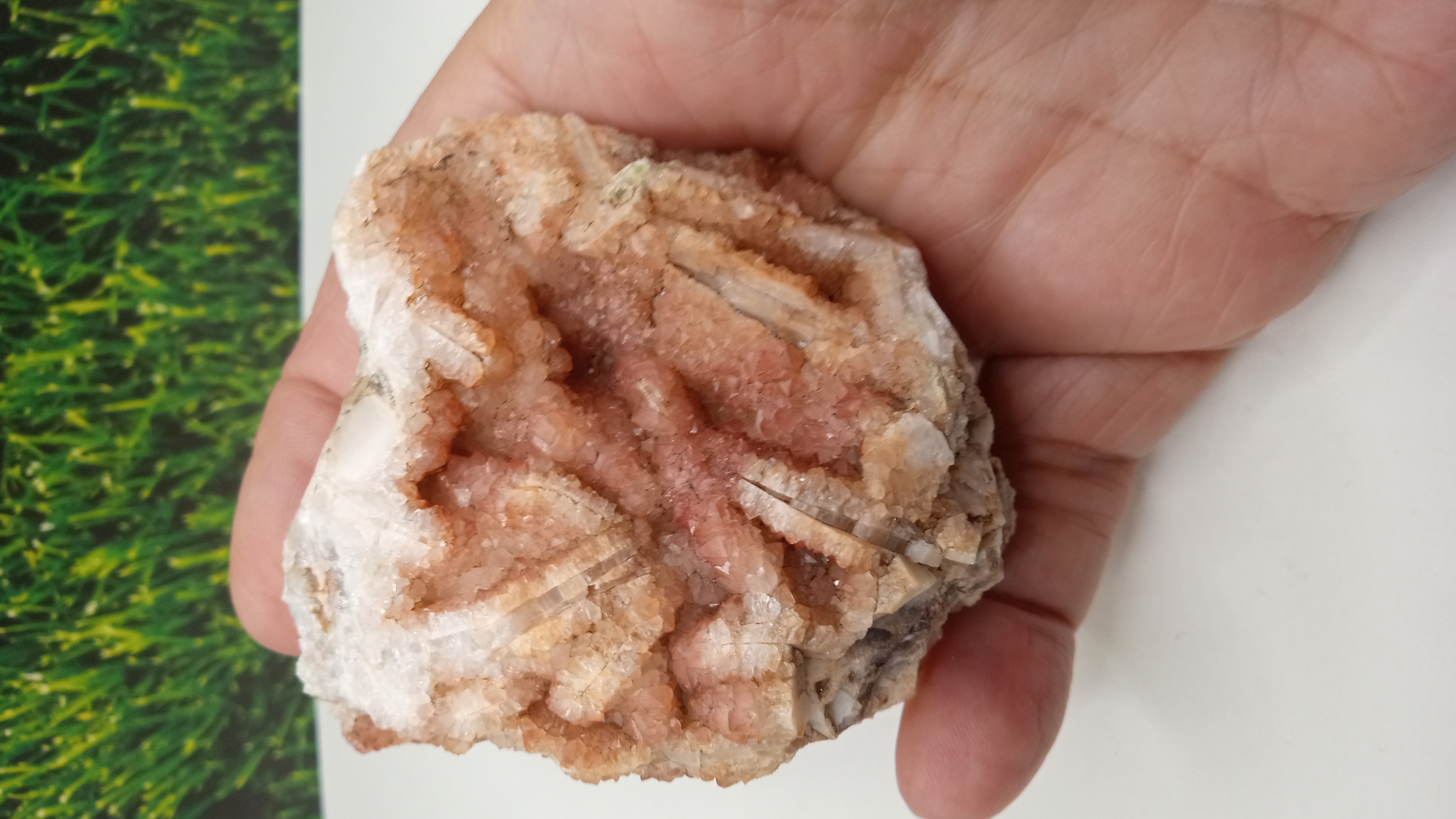 Peach Colored Quartz Crystals ~ Rare Find -Southern Caballos Mts ~ New Mexico ~