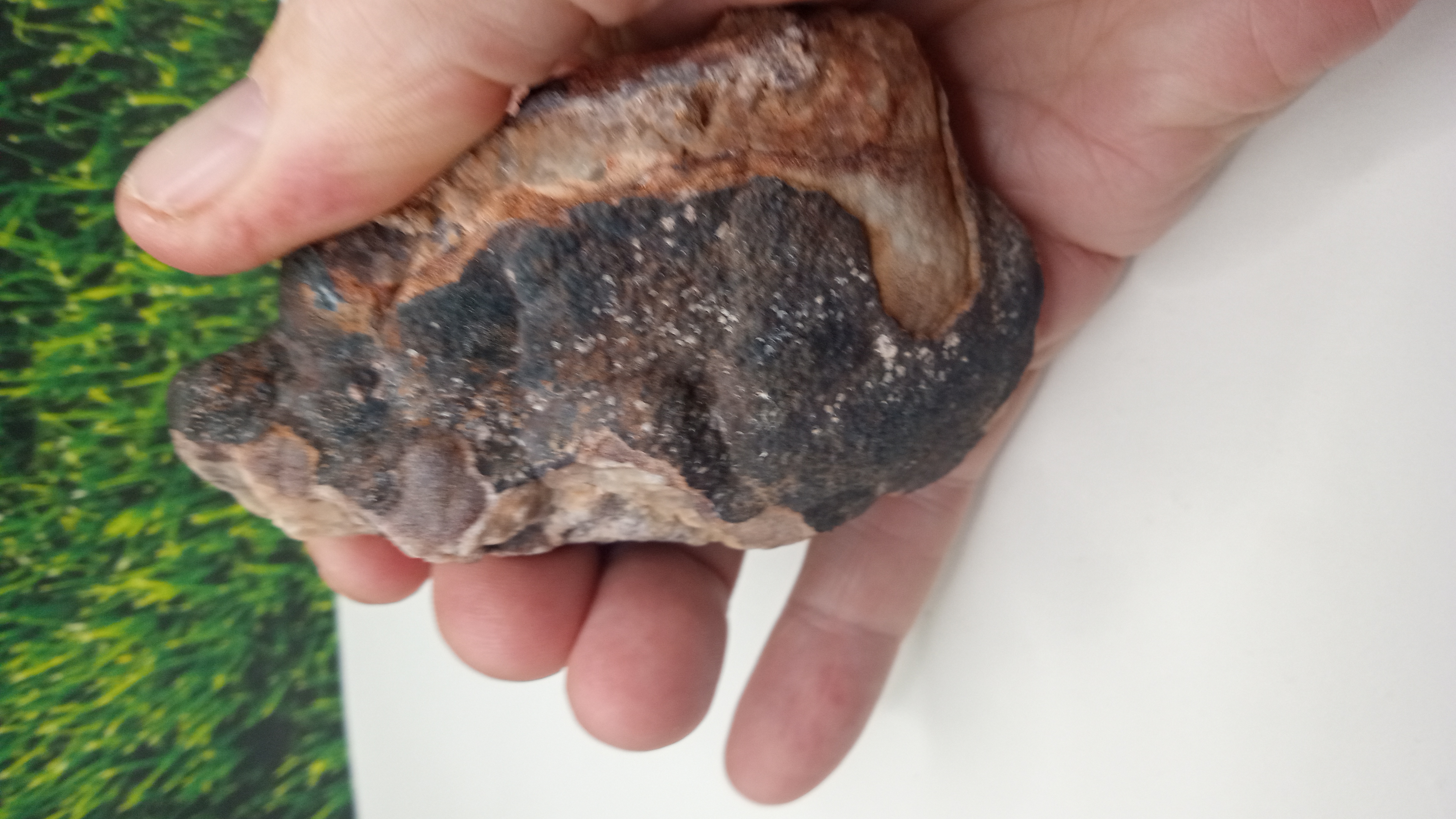 Hematite Mineral Specimen - Bubbles ~ Doña Ana County  (Iron Hill Mining District) NM