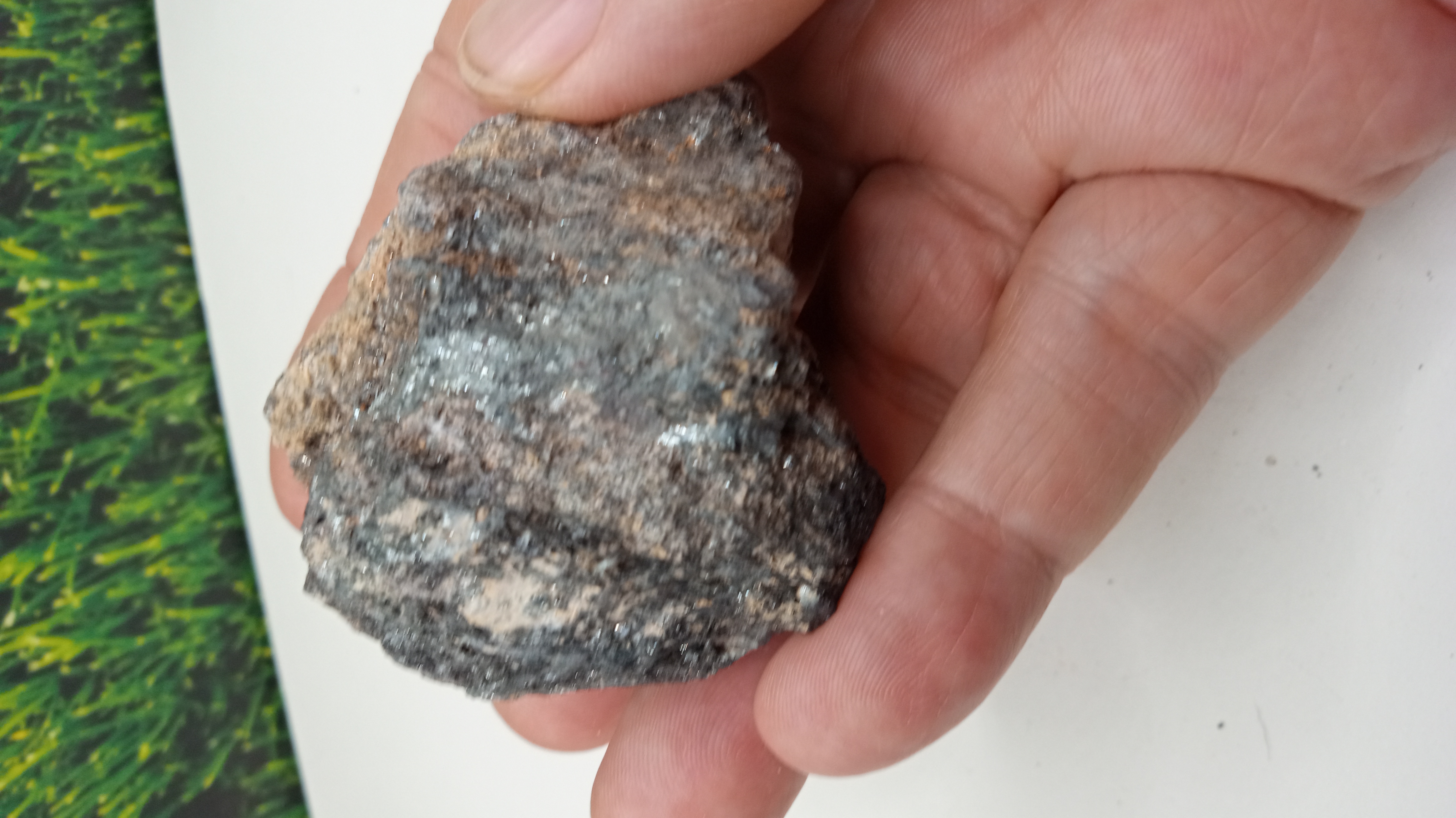Bornite Mineral Specimen - Arizona find 