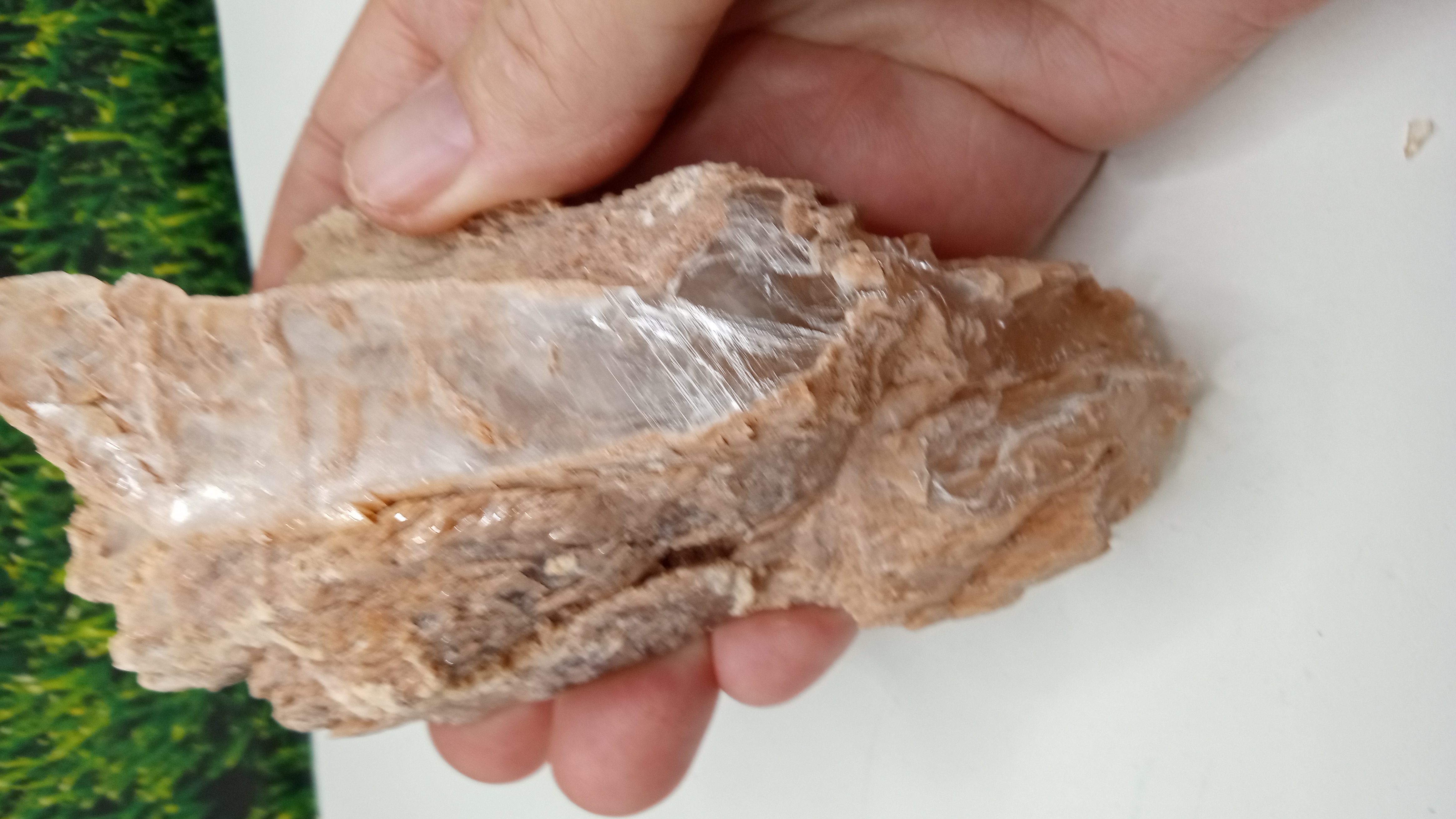 Muscovite / Selenite Mineral Specimen ~ New Mexico