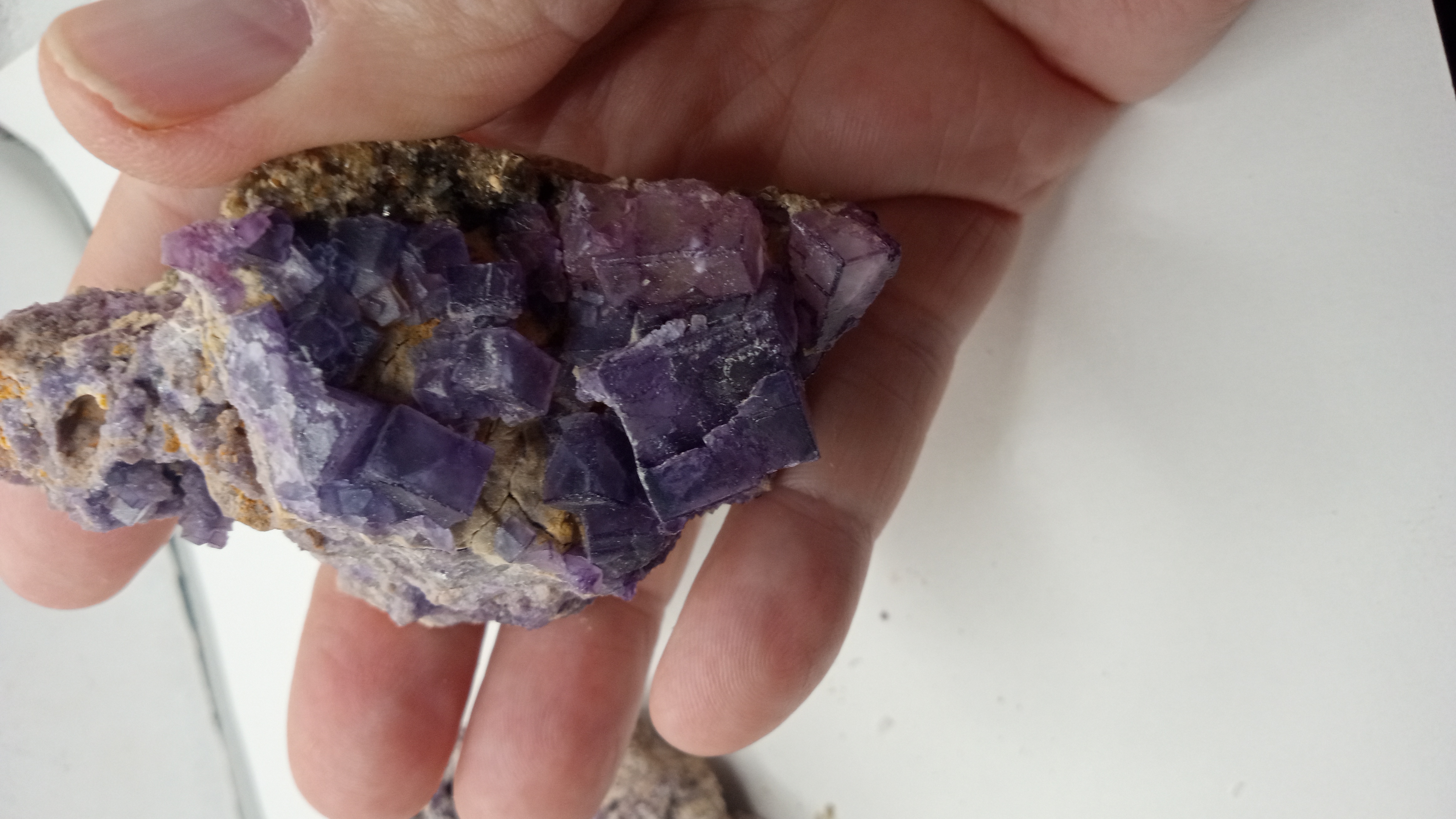 Unique Dark Purple Fluorite - ( 3 ) Included - Blanchard Mine New Mexico