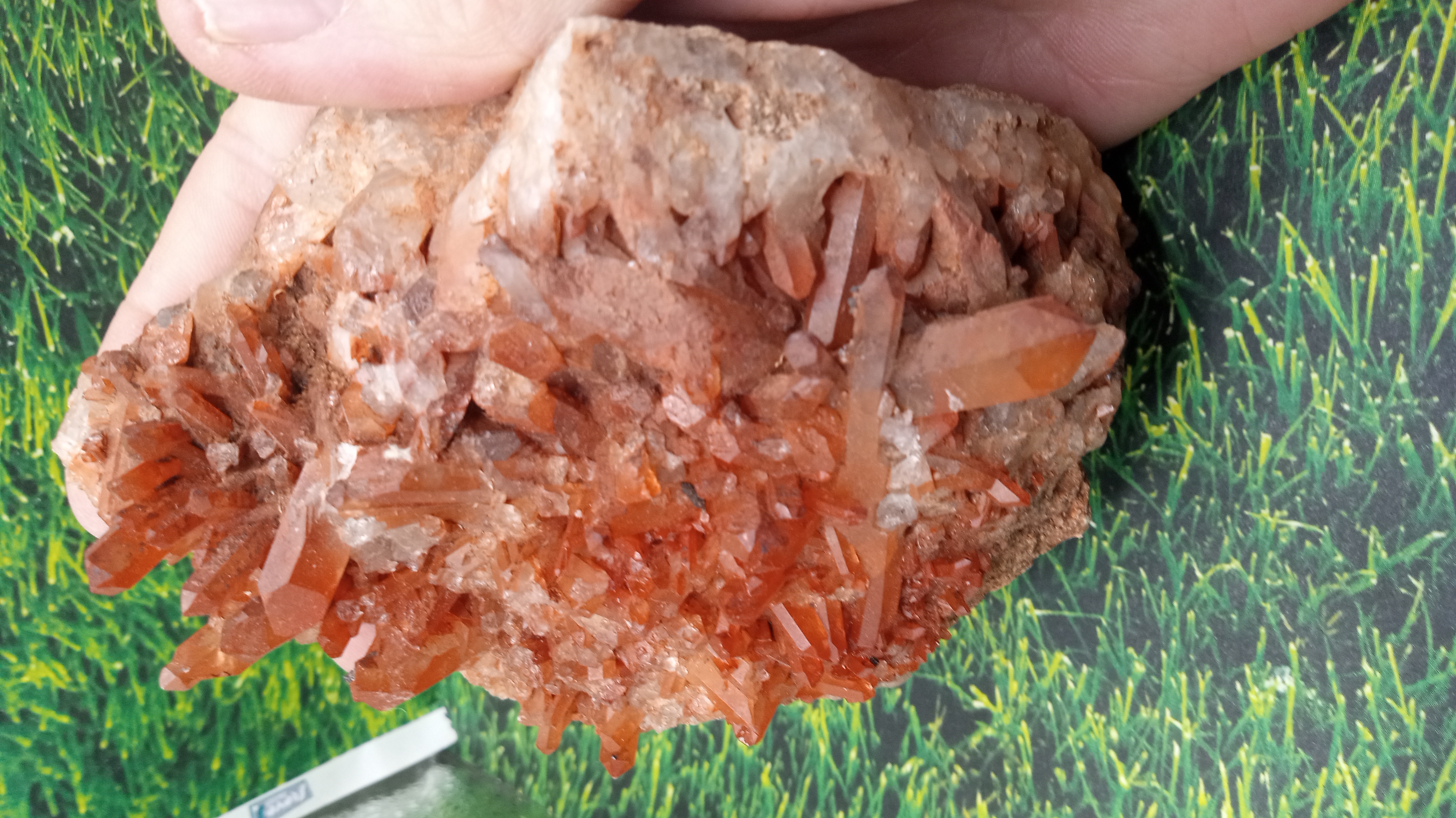 Red Hematoid Quartz Cluster w/ Points - New Mexico