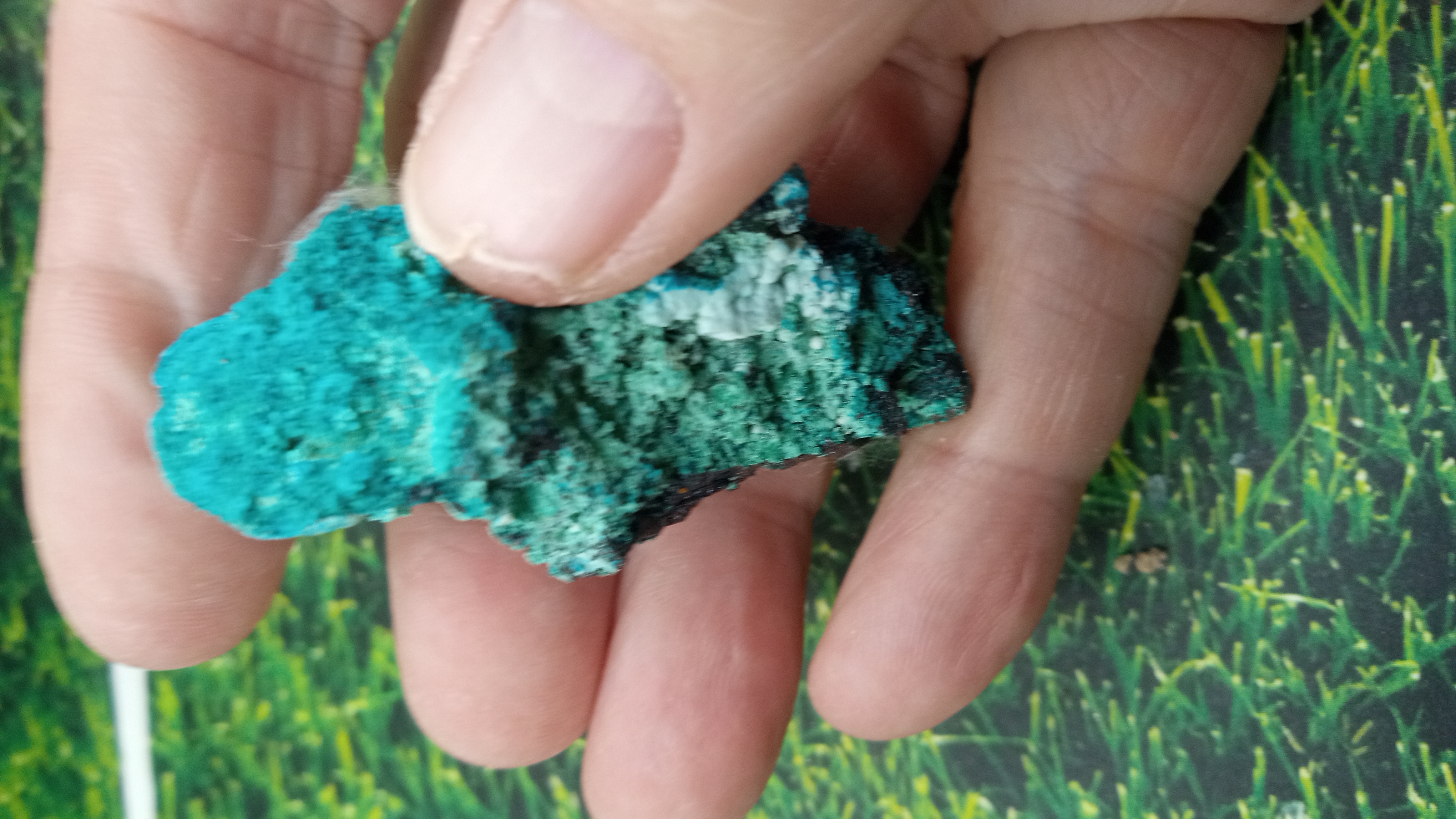 Chrysocolla Mineral Specimen - Orogrande, NM