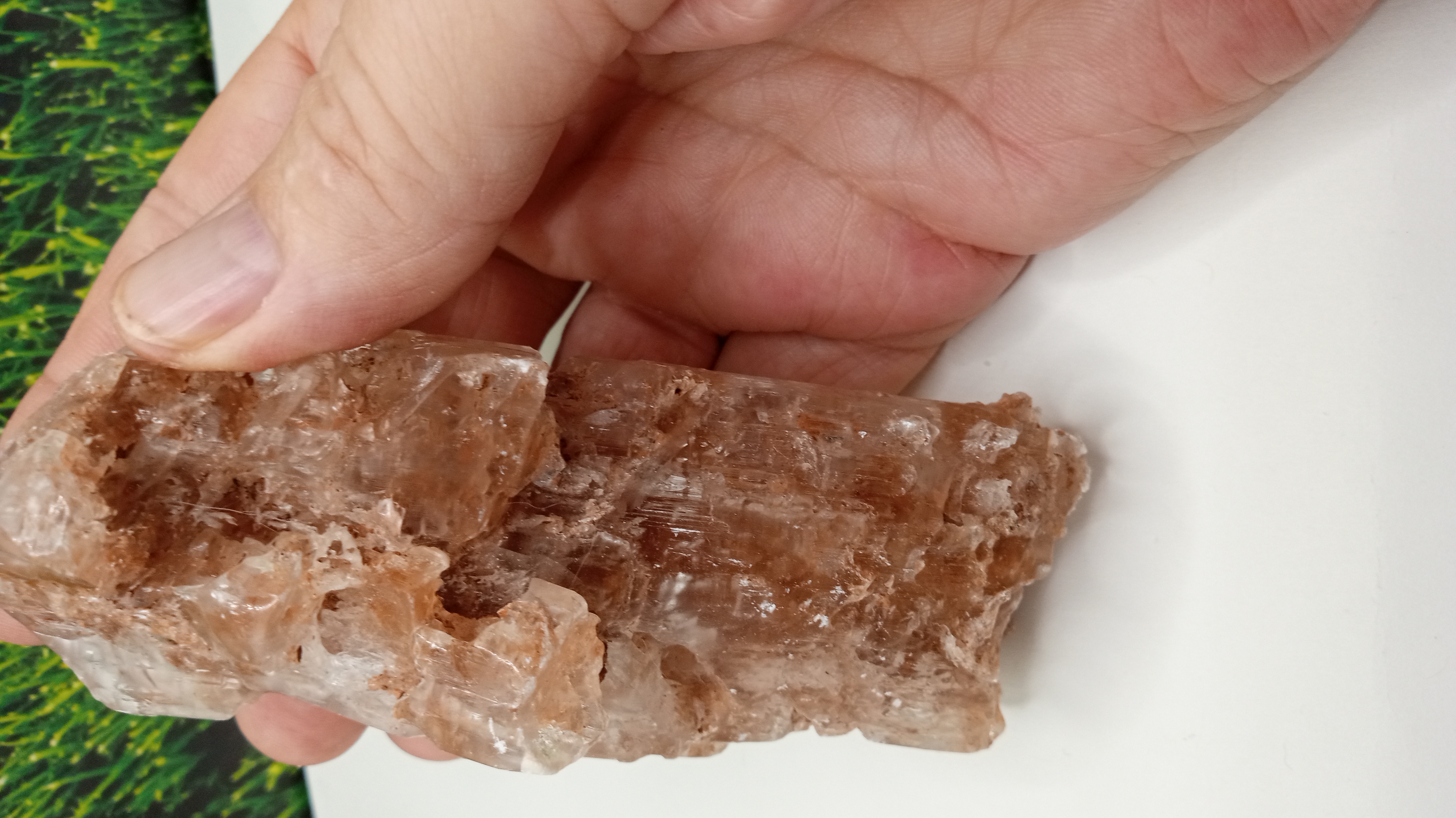 Selenite Mineral Specimen - UFO Roswell, New Mexico Area ~